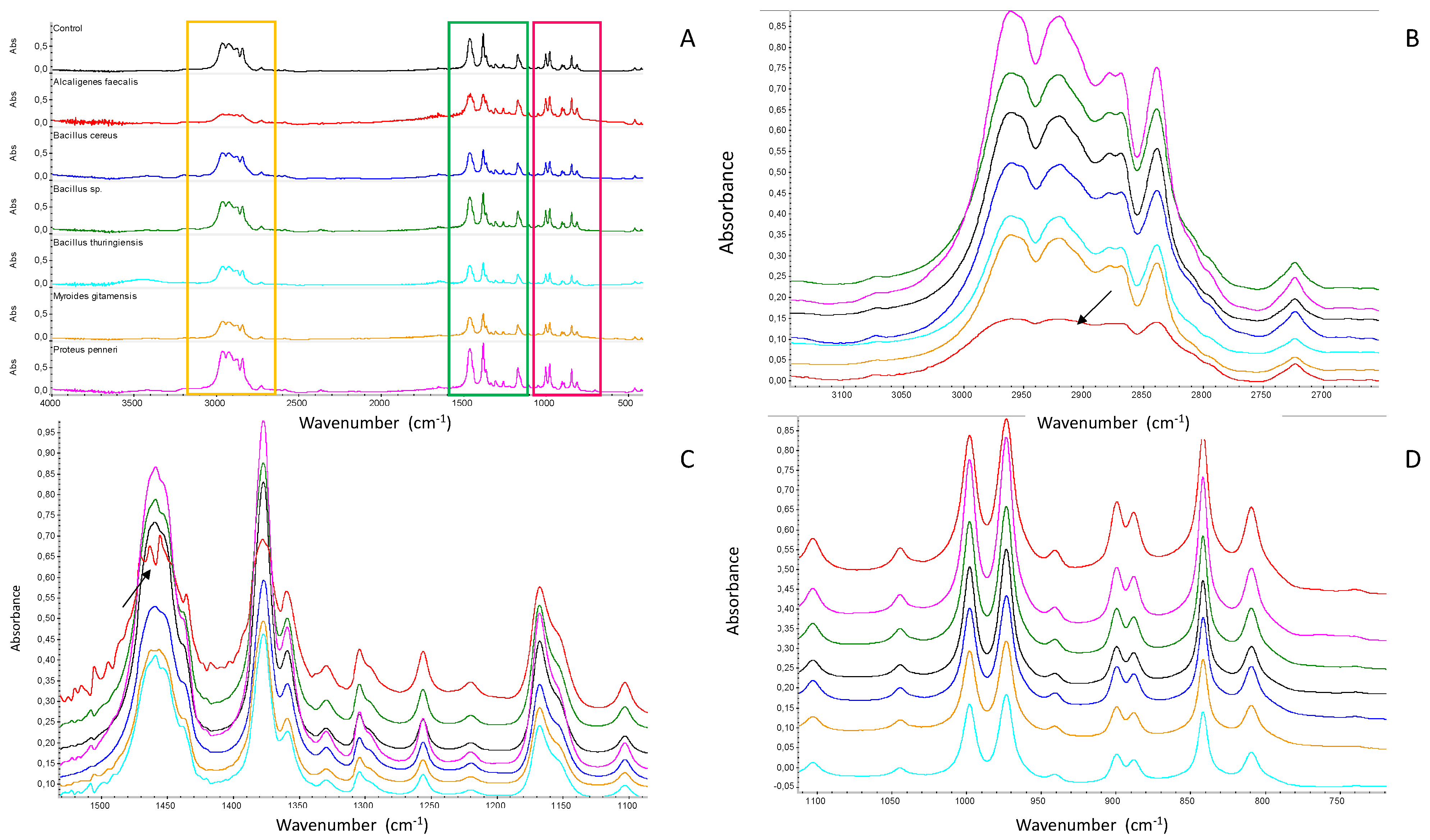 Applsci 12 11093 g002