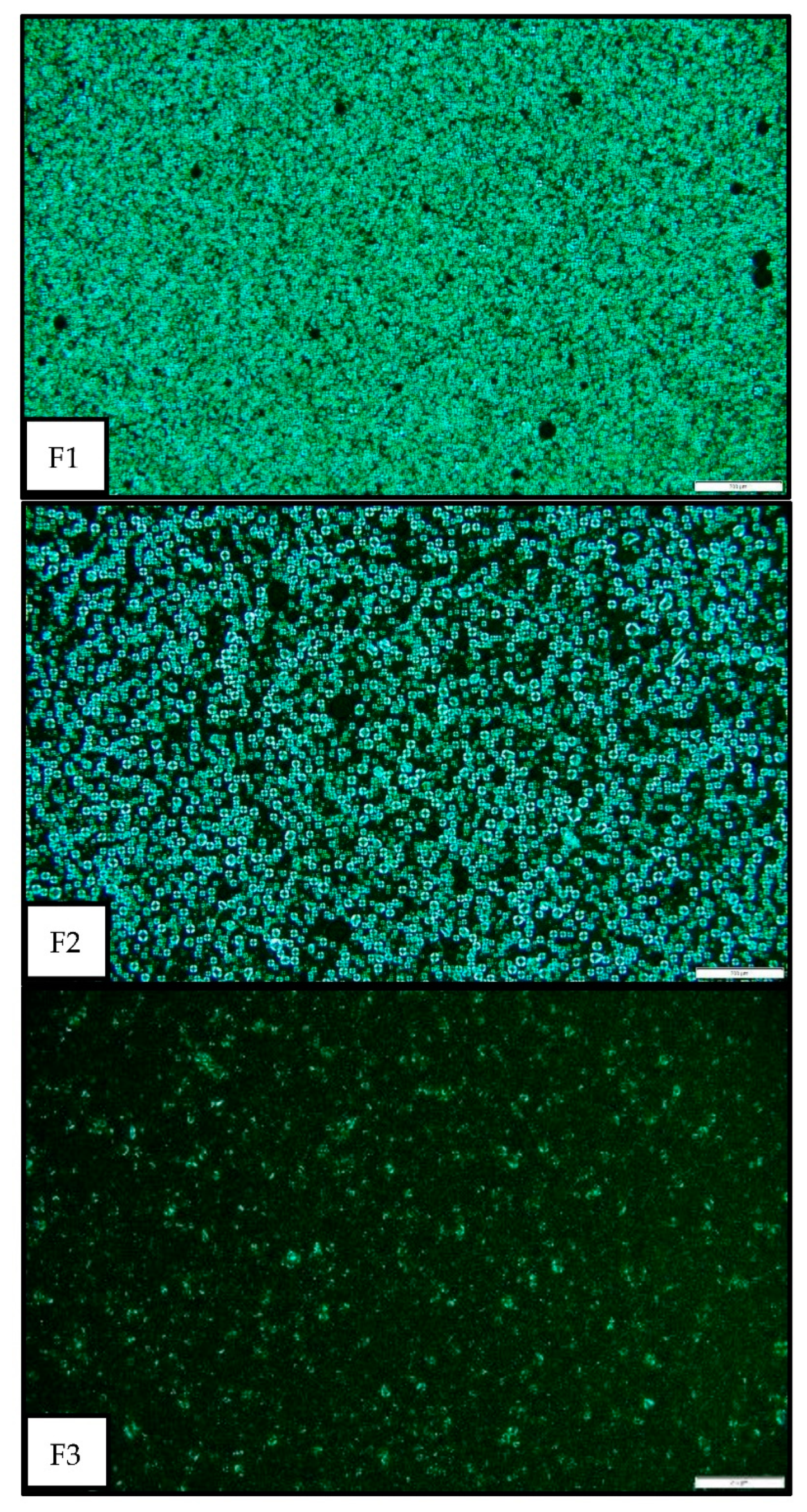 Applsci 12 11113 g003 Applsci 12 11113 g003