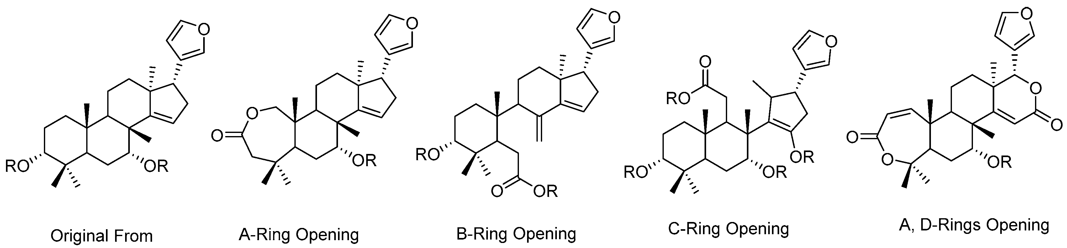 Applsci 12 11169 g002