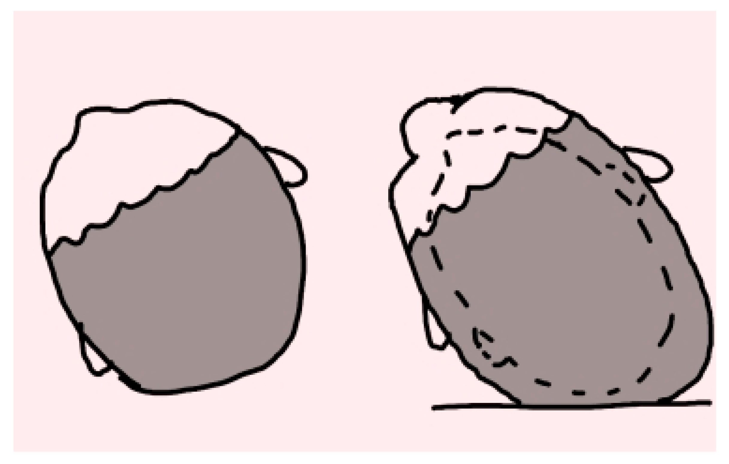 Applsci 12 11172 g001 Applsci 12 11172 g001