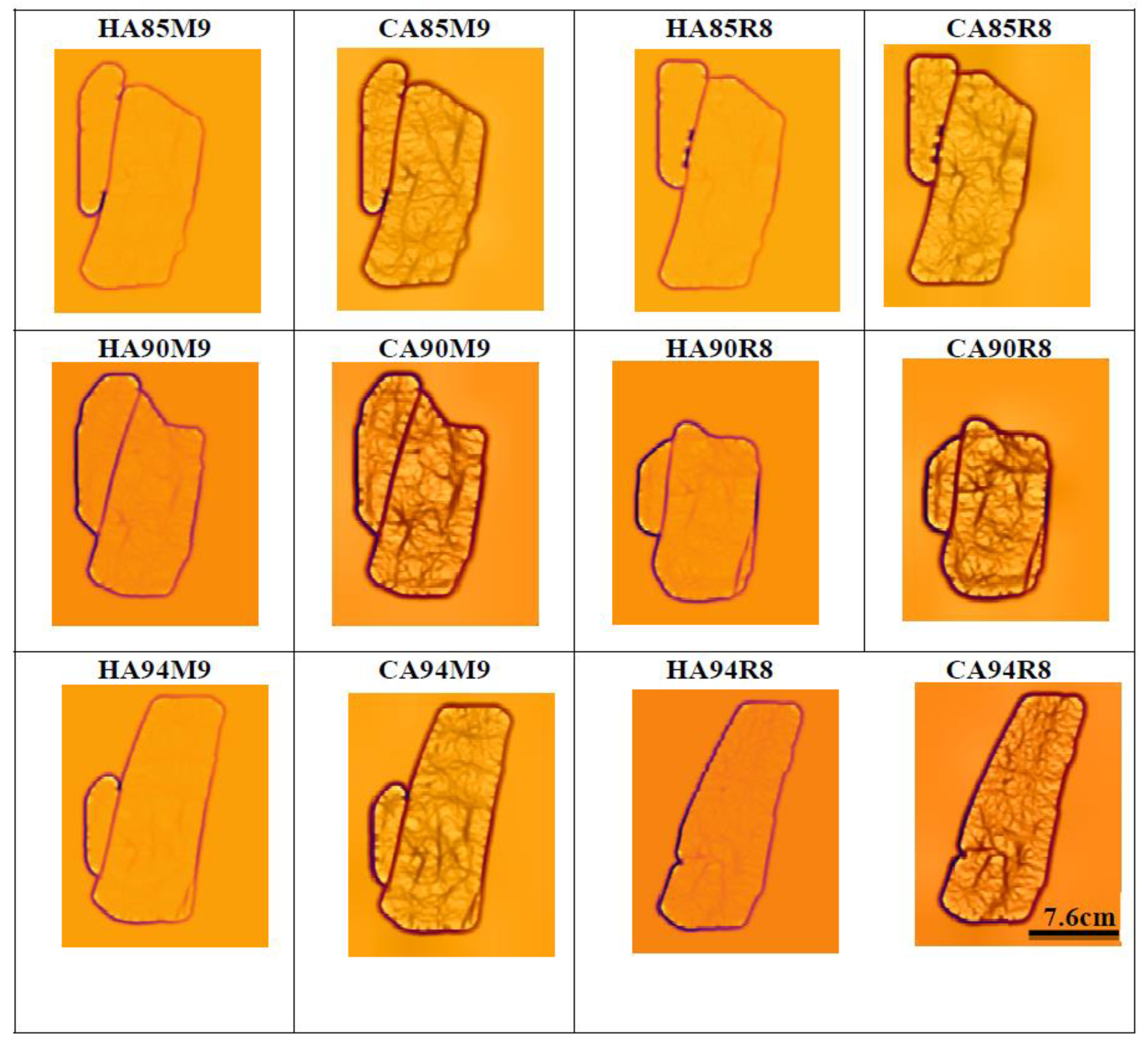 Applsci 12 11173 g010 Applsci 12 11173 g010