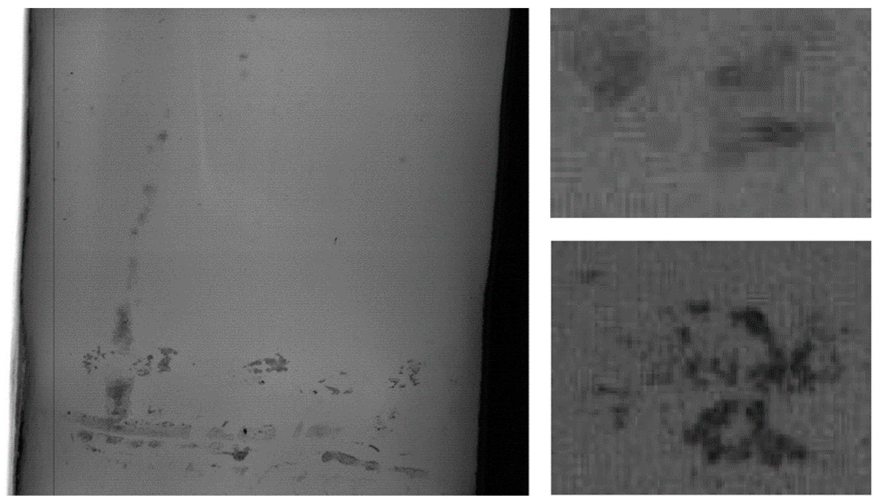 Applsci 12 11192 g006