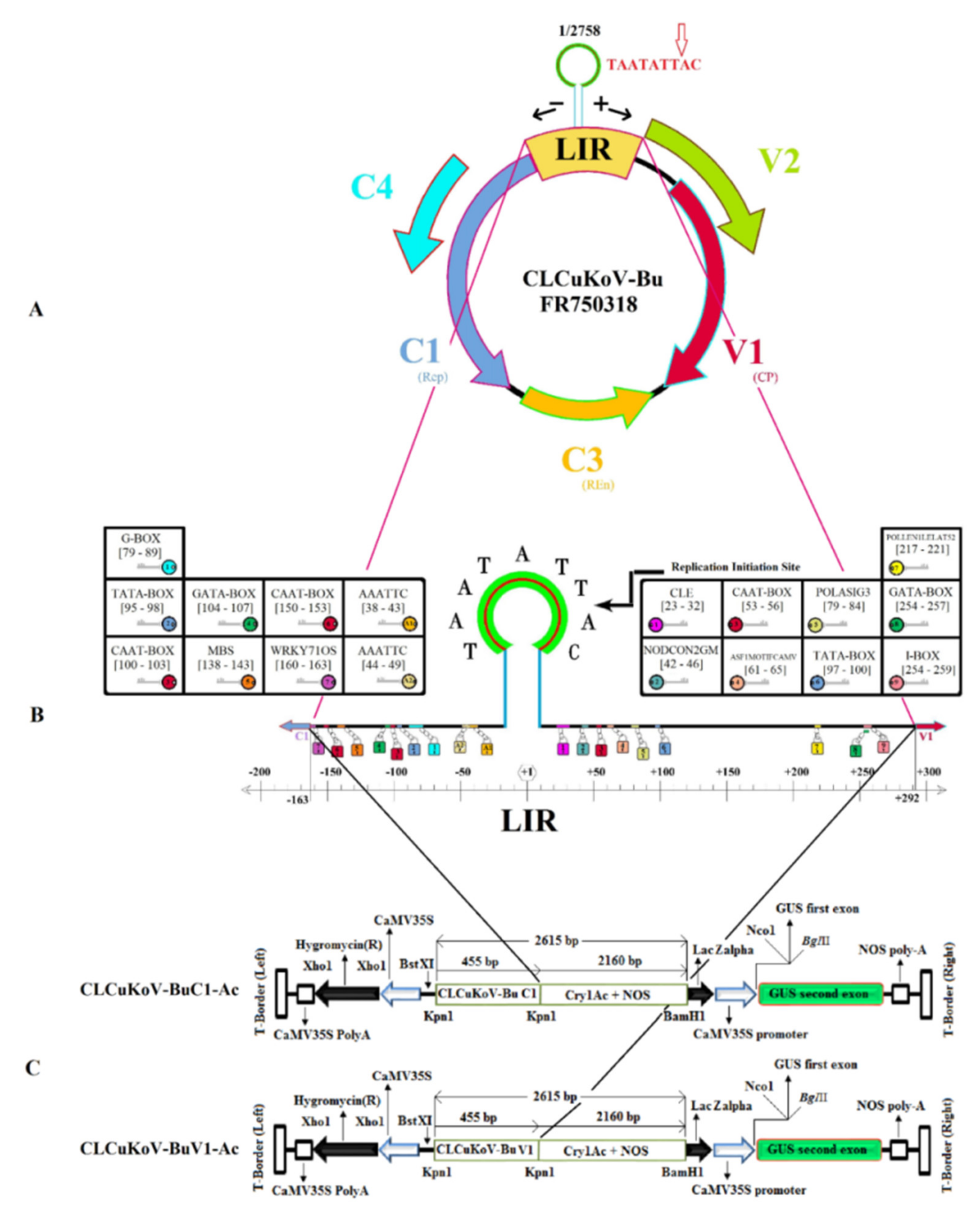 Applsci 12 11275 g001 Applsci 12 11275 g001