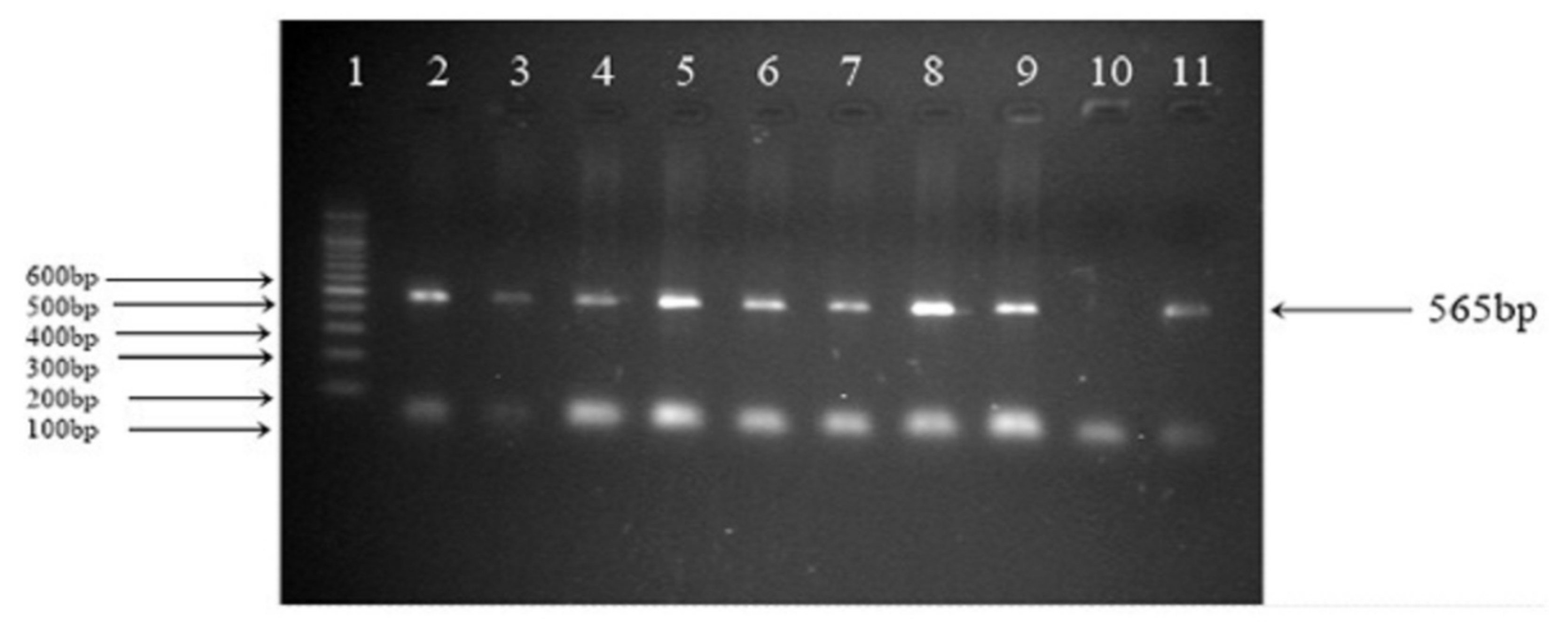 Applsci 12 11275 g003 Applsci 12 11275 g003