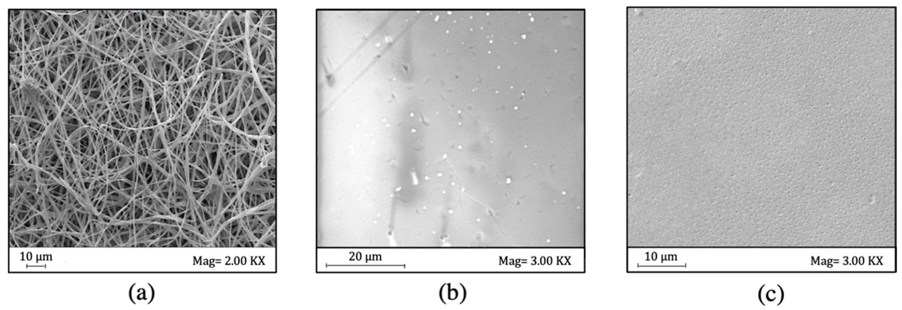 Applsci 12 11311 g003