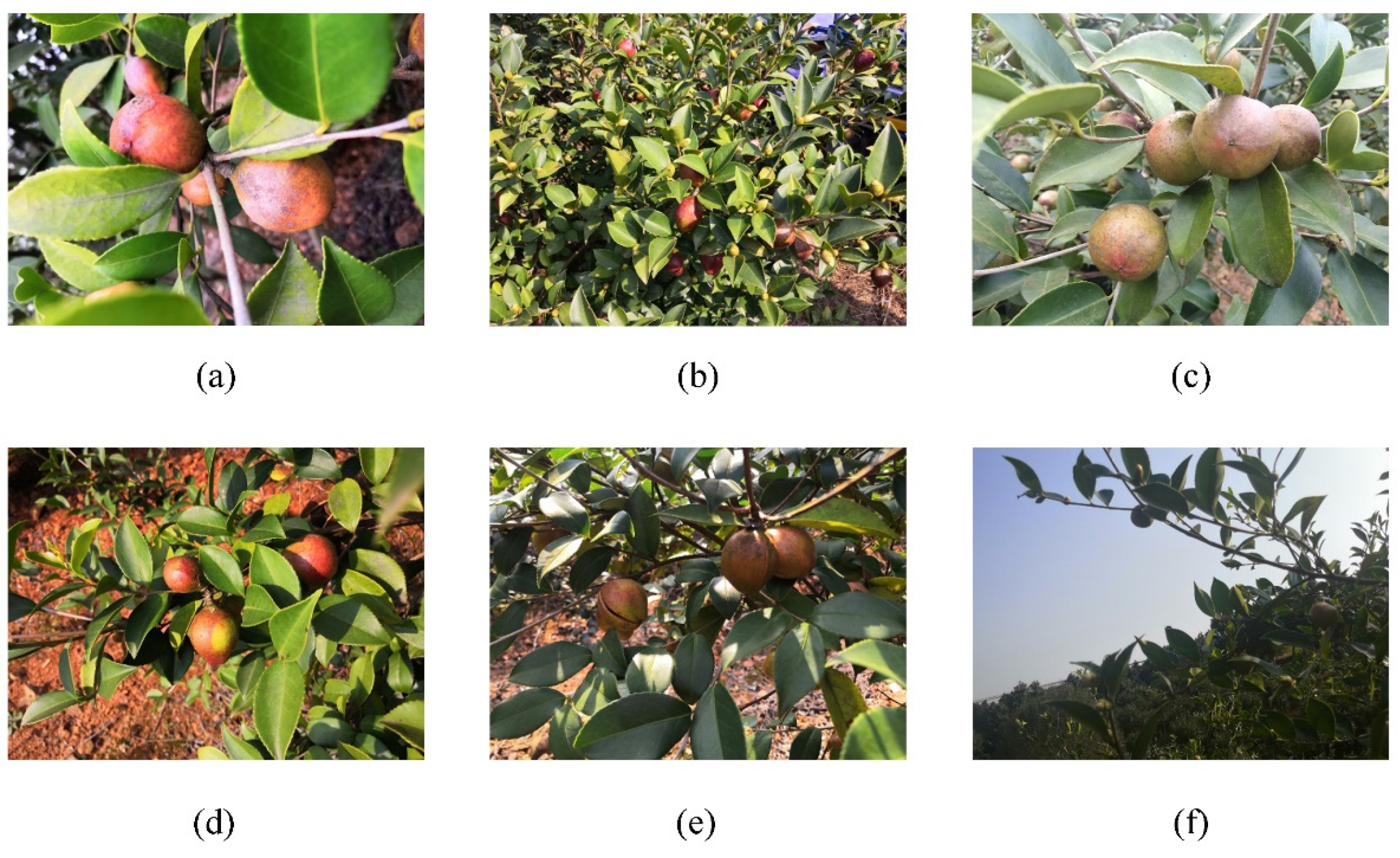 Applsci 12 11318 g001