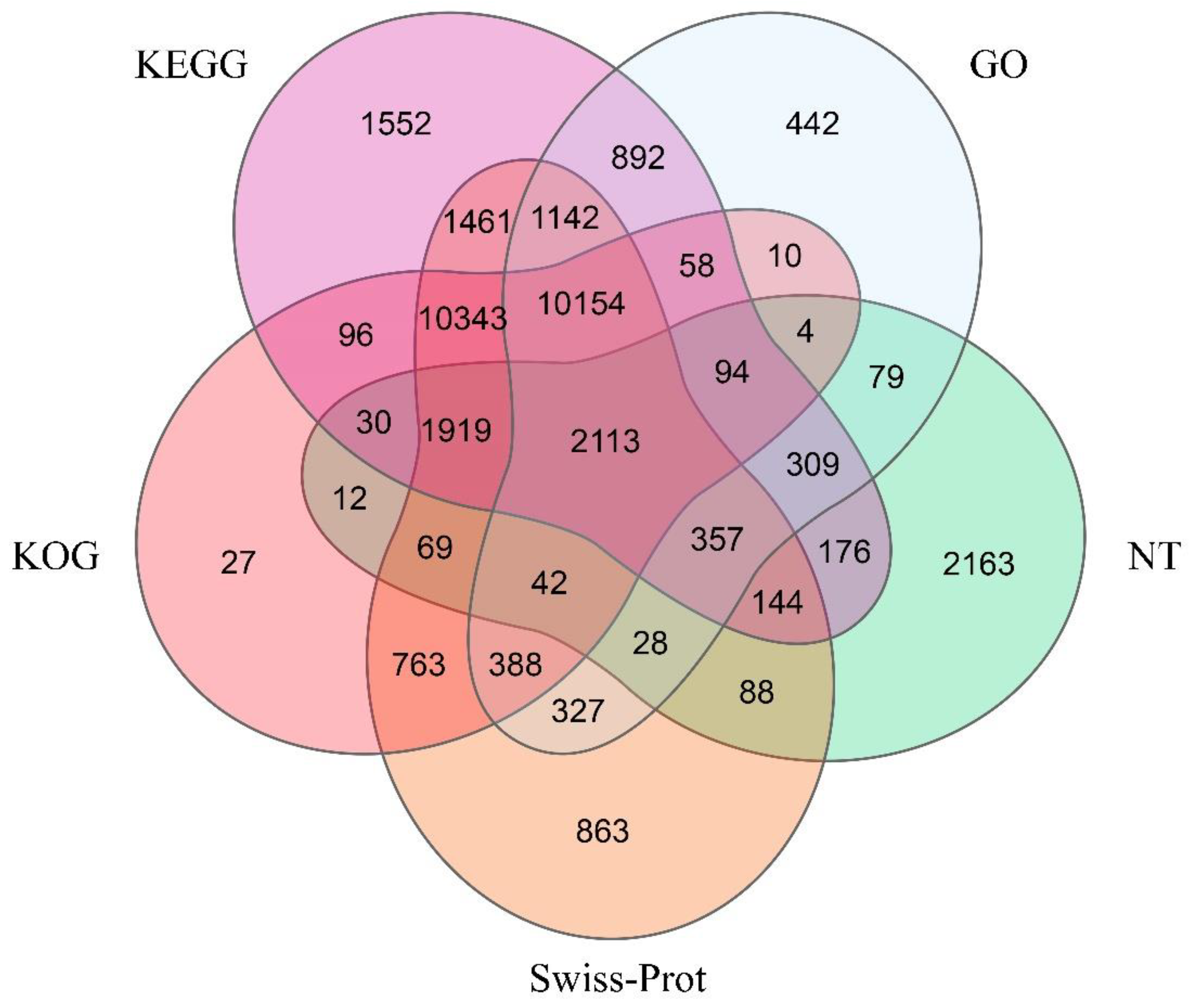De Novo Transcriptome Analysis of the Lizard Fish (Saurida