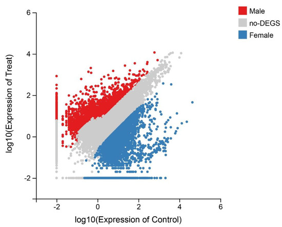 De Novo Transcriptome Analysis of the Lizard Fish (Saurida