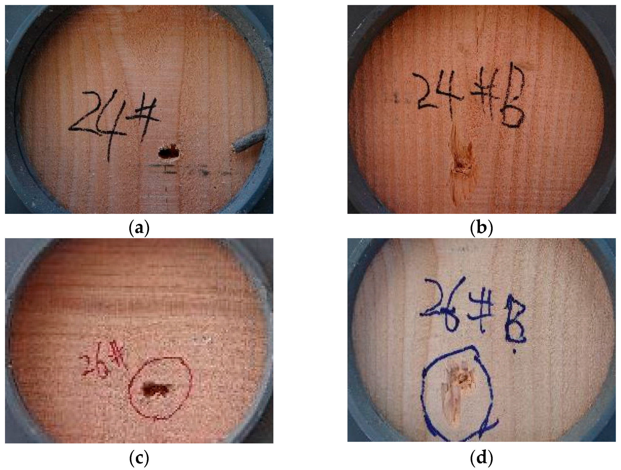 Applsci 12 11333 g003 Applsci 12 11333 g003