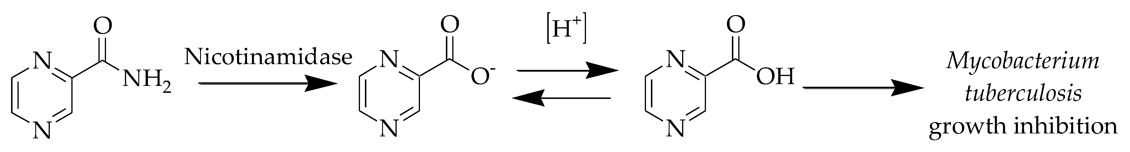 Applsci 12 11361 g003 Applsci 12 11361 g003