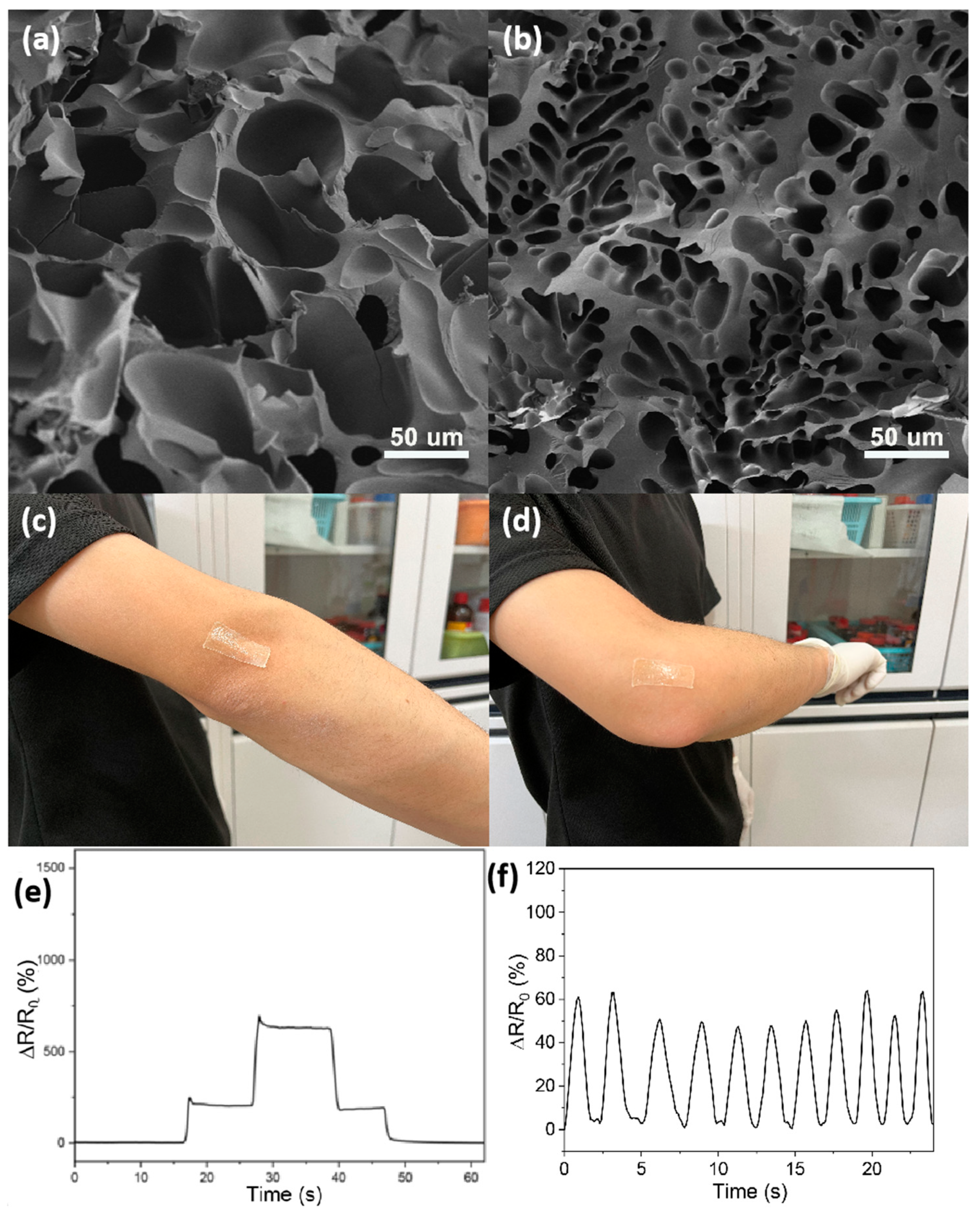 Applsci 12 11404 g006