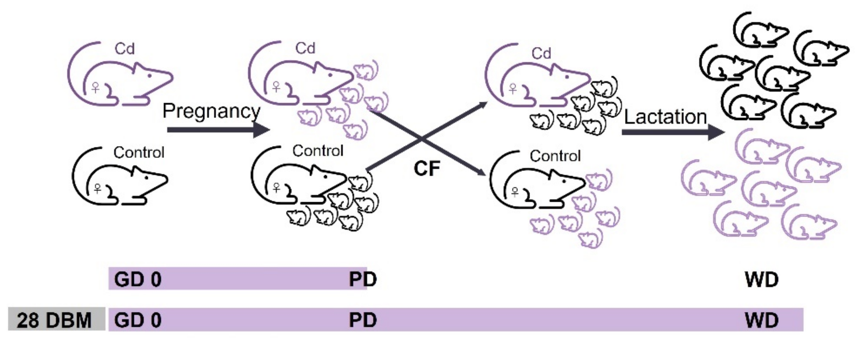 Applsci 12 11412 g003 Applsci 12 11412 g003