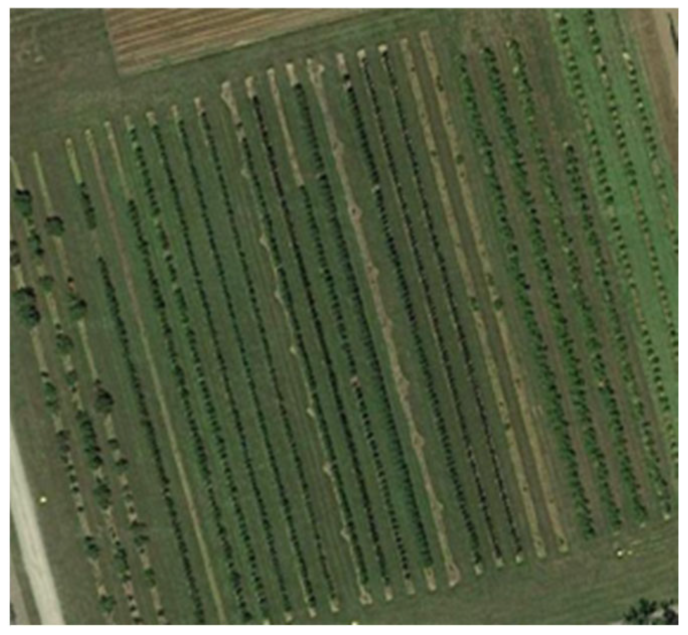 Applsci 12 11420 g002 Applsci 12 11420 g002