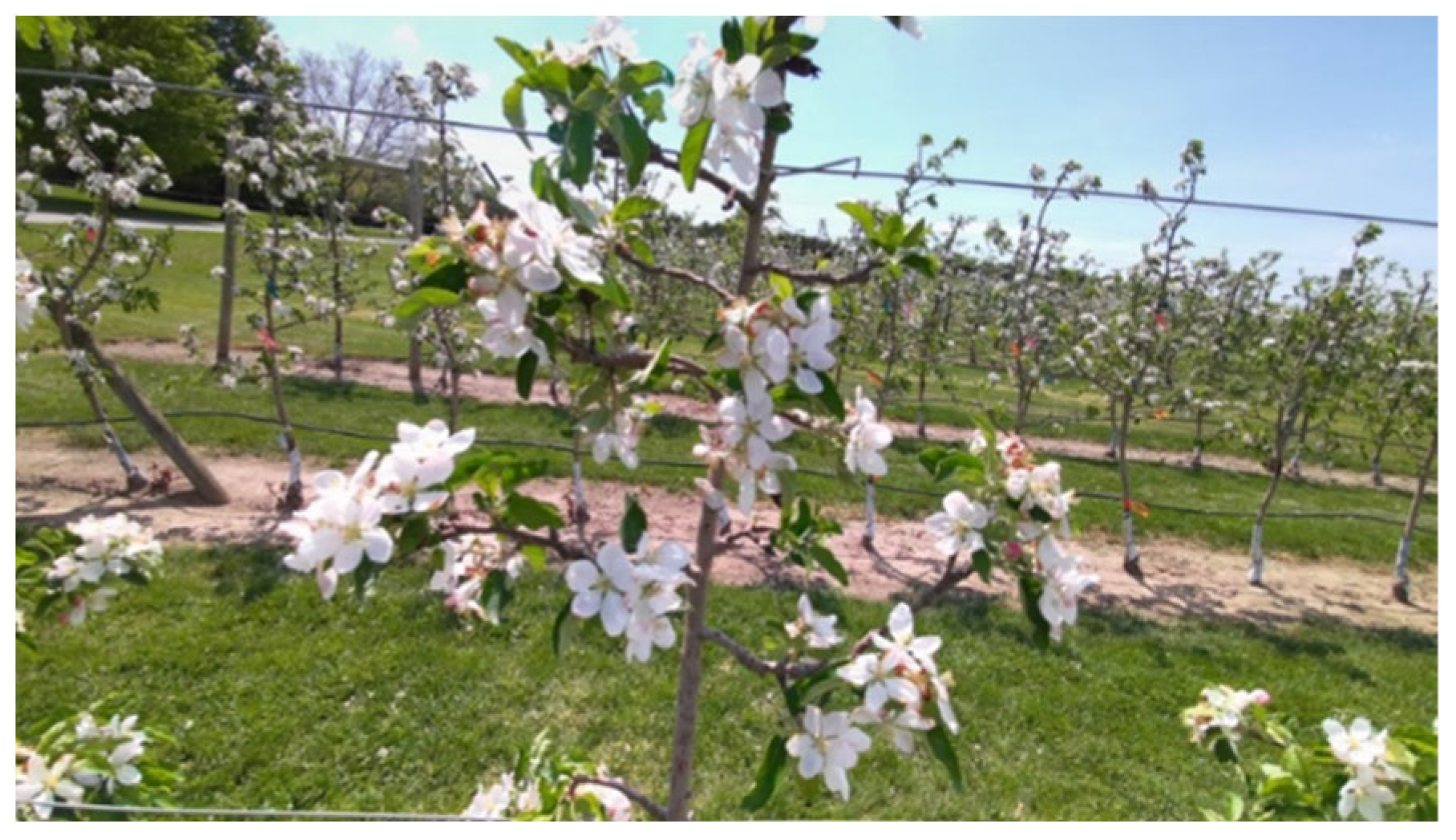 Applsci 12 11420 g003 Applsci 12 11420 g003