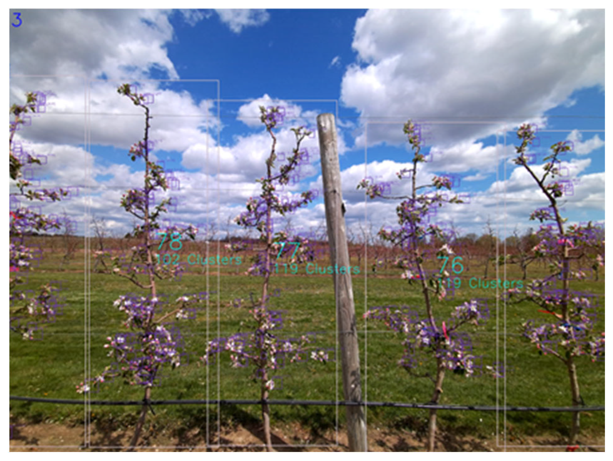 Applsci 12 11420 g013 Applsci 12 11420 g013