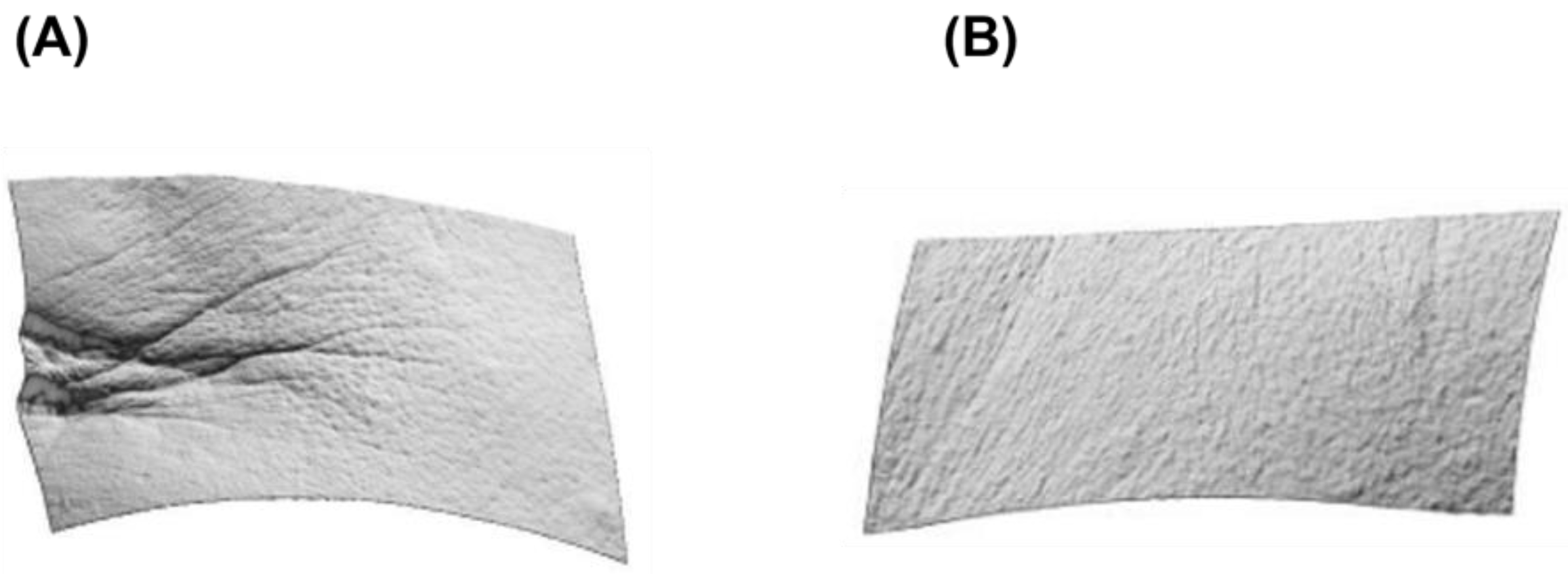 Applsci 12 11422 g001 Applsci 12 11422 g001