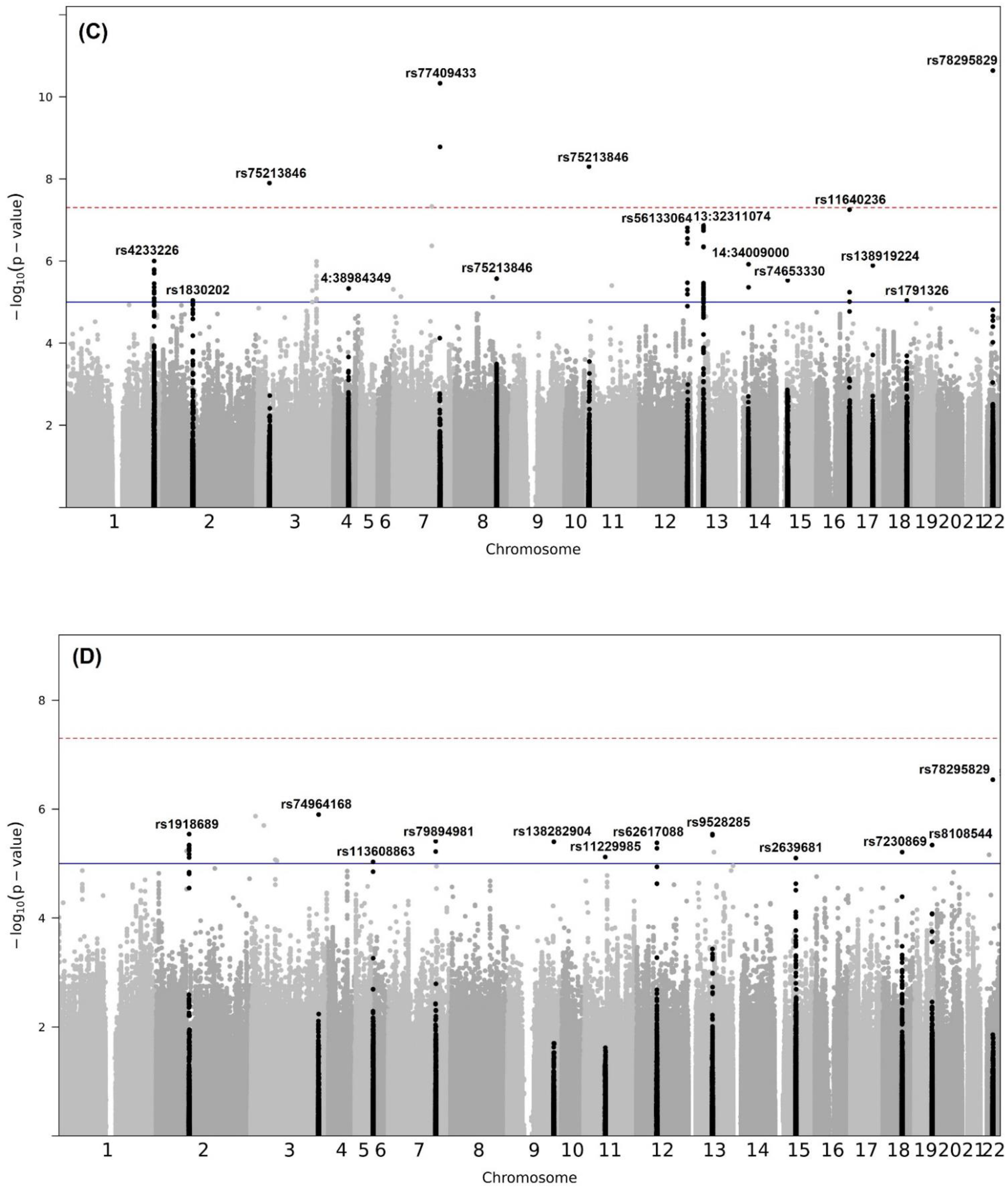 Applsci 12 11422 g003b Applsci 12 11422 g003b