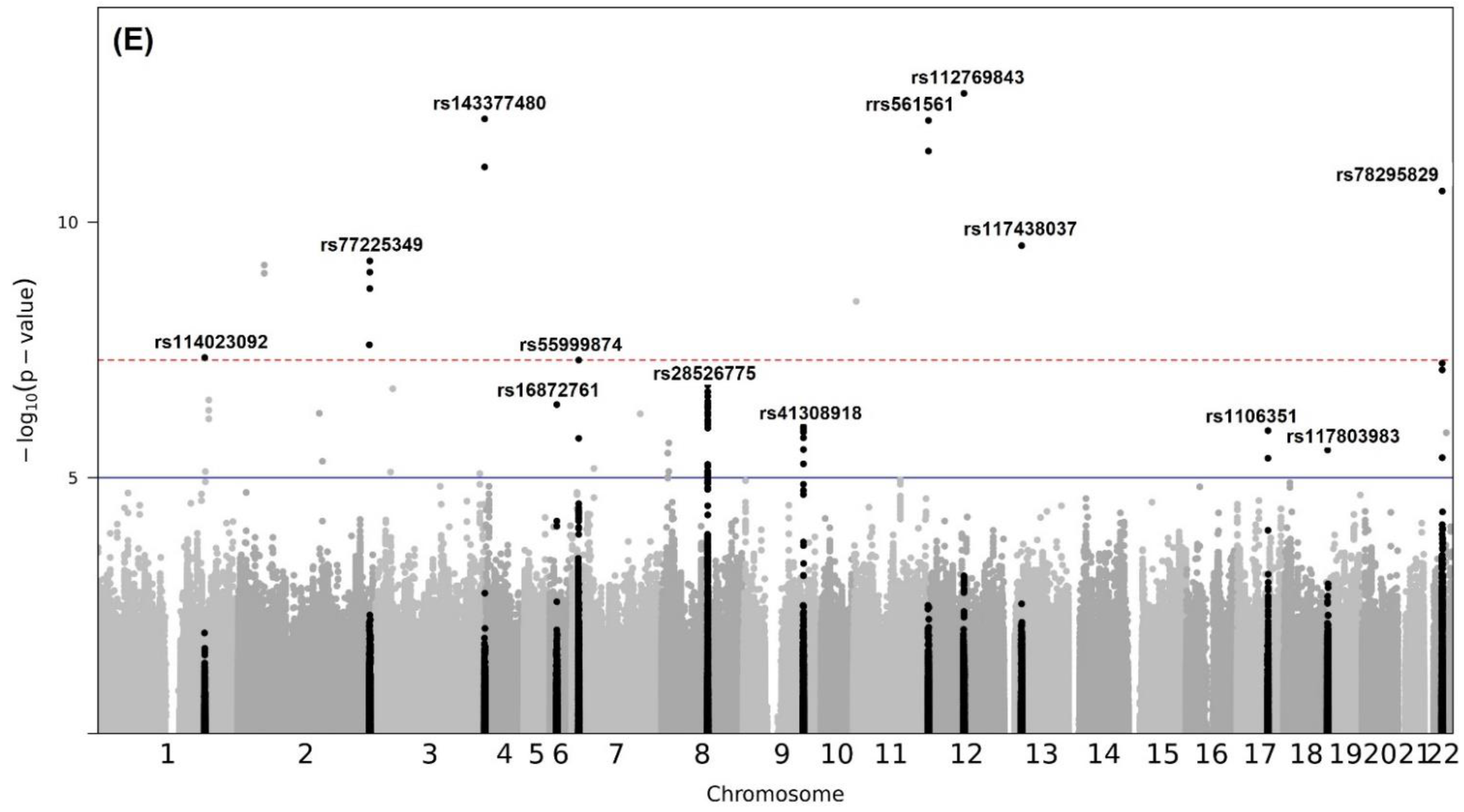 Applsci 12 11422 g003c Applsci 12 11422 g003c