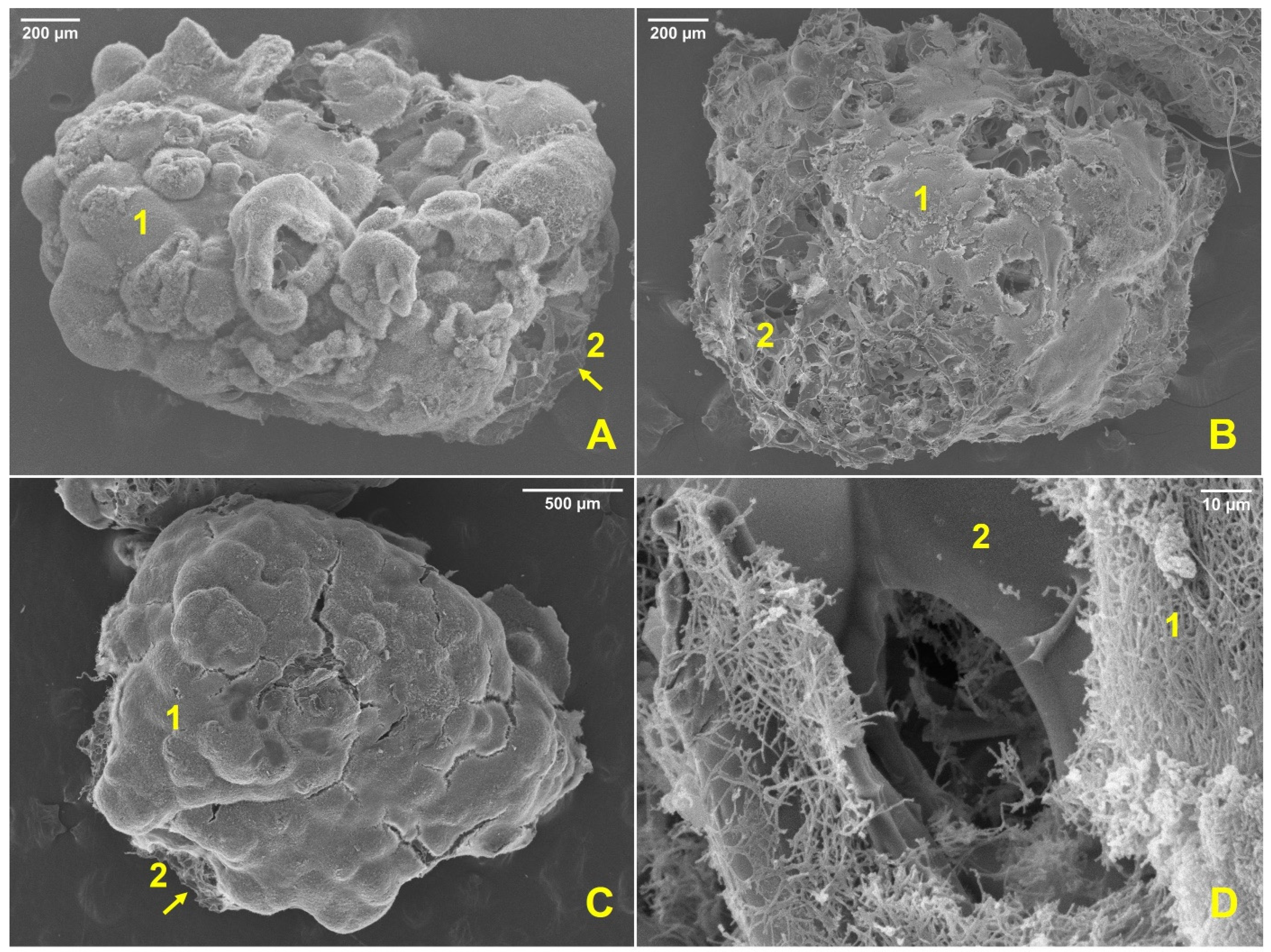 Applsci 12 11425 g001