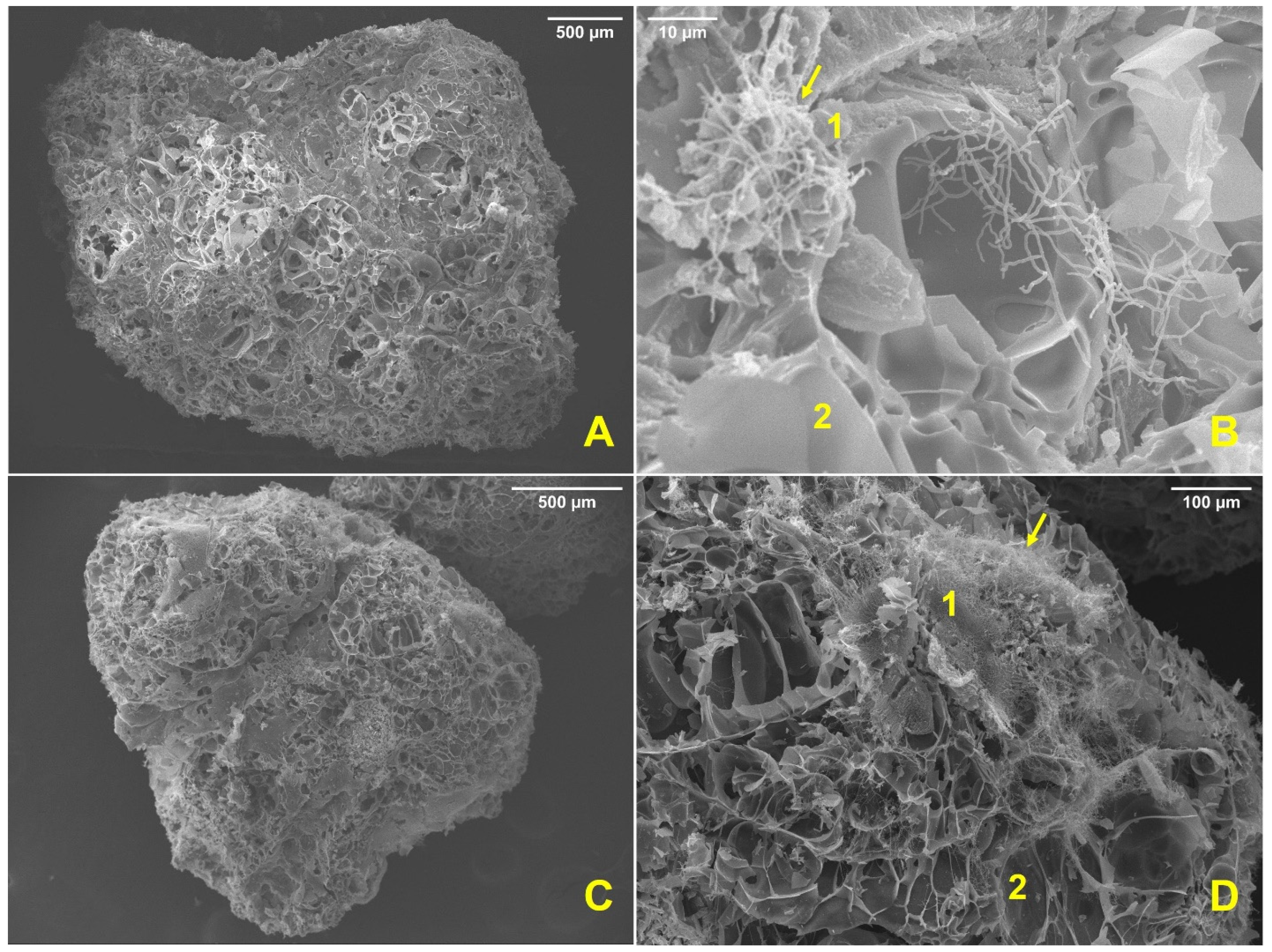 Applsci 12 11425 g002