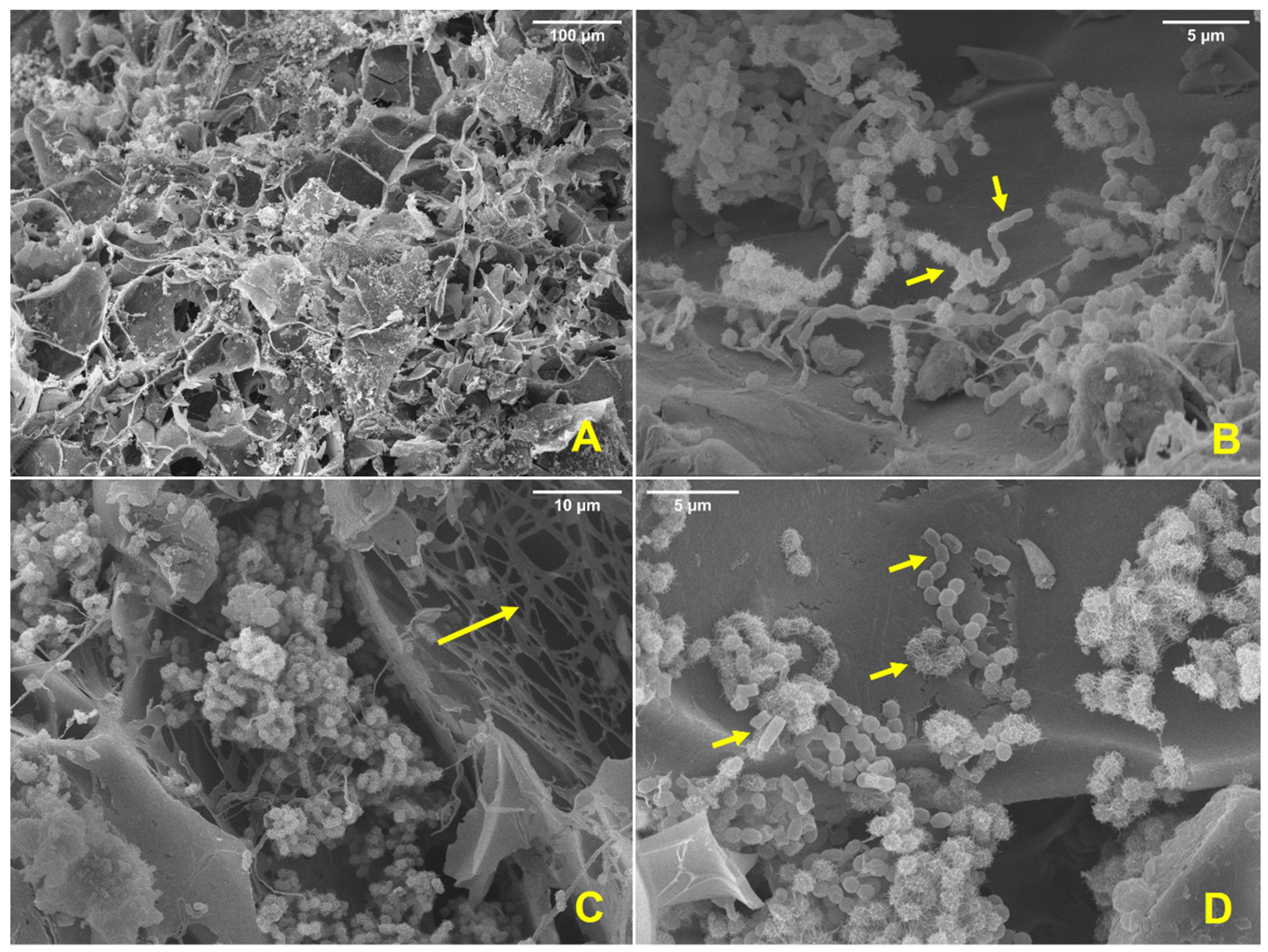 Applsci 12 11425 g005