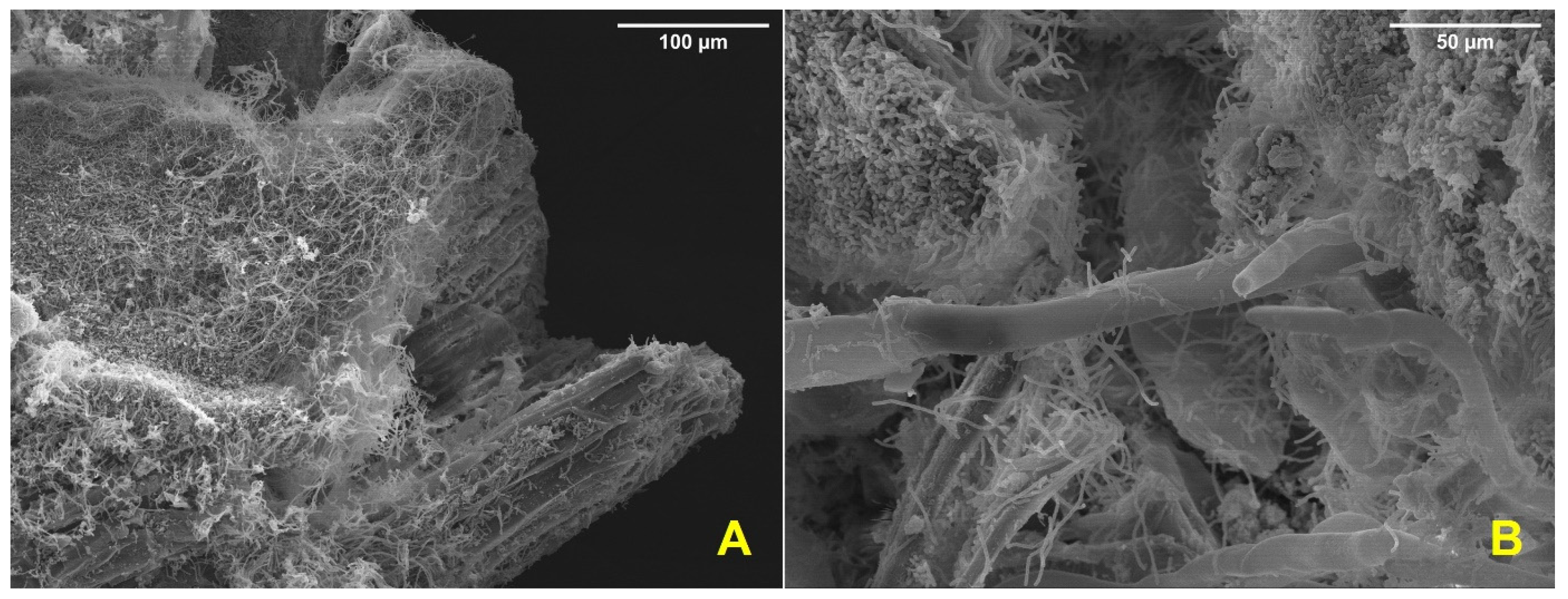 Applsci 12 11425 g006