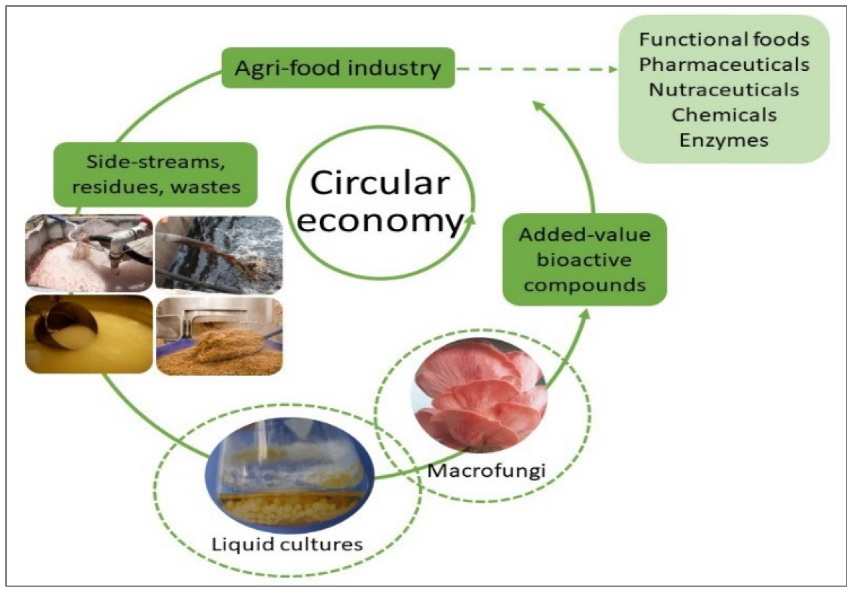 Applied Sciences Free Full Text Valorization Of Agro Industrial Wastes And Residues Through The Production Of Bioactive Compounds By Macrofungi In Liquid State Cultures Growing Circular Economy