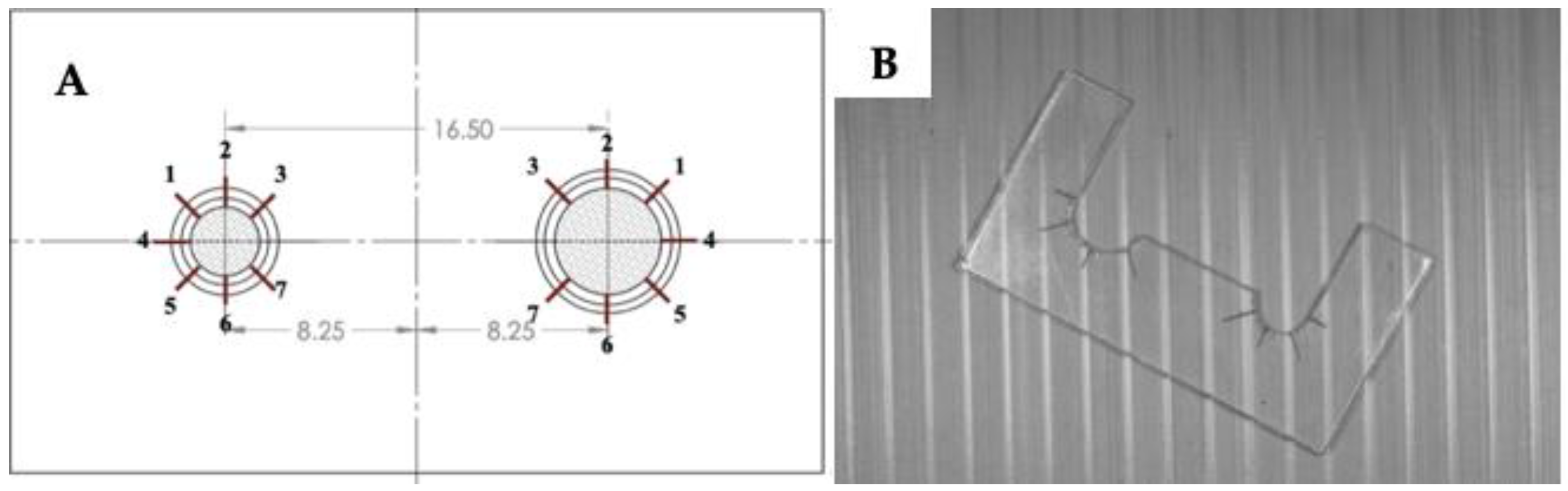 Applsci 12 11454 g003