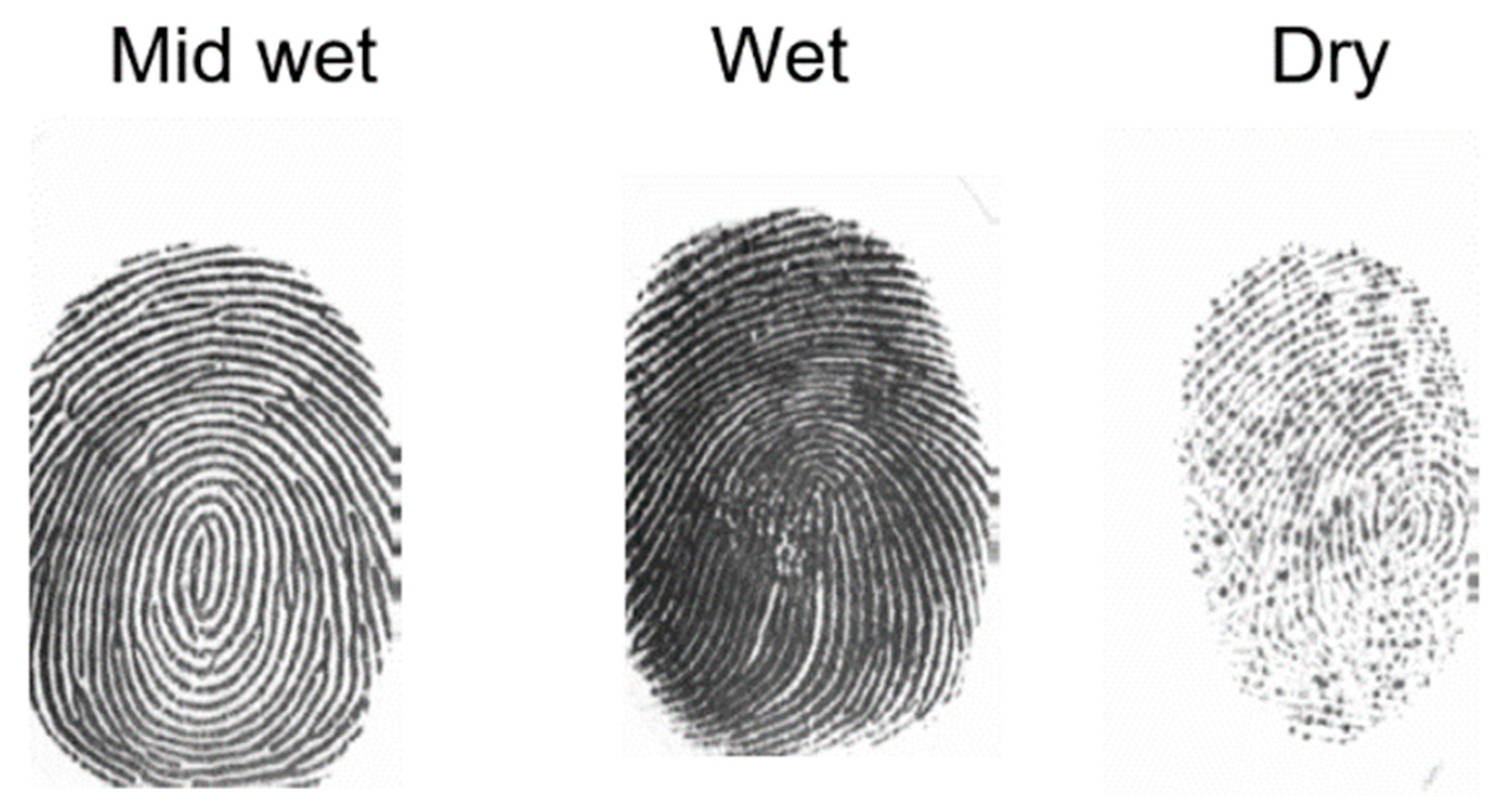 Applsci 12 11460 g006