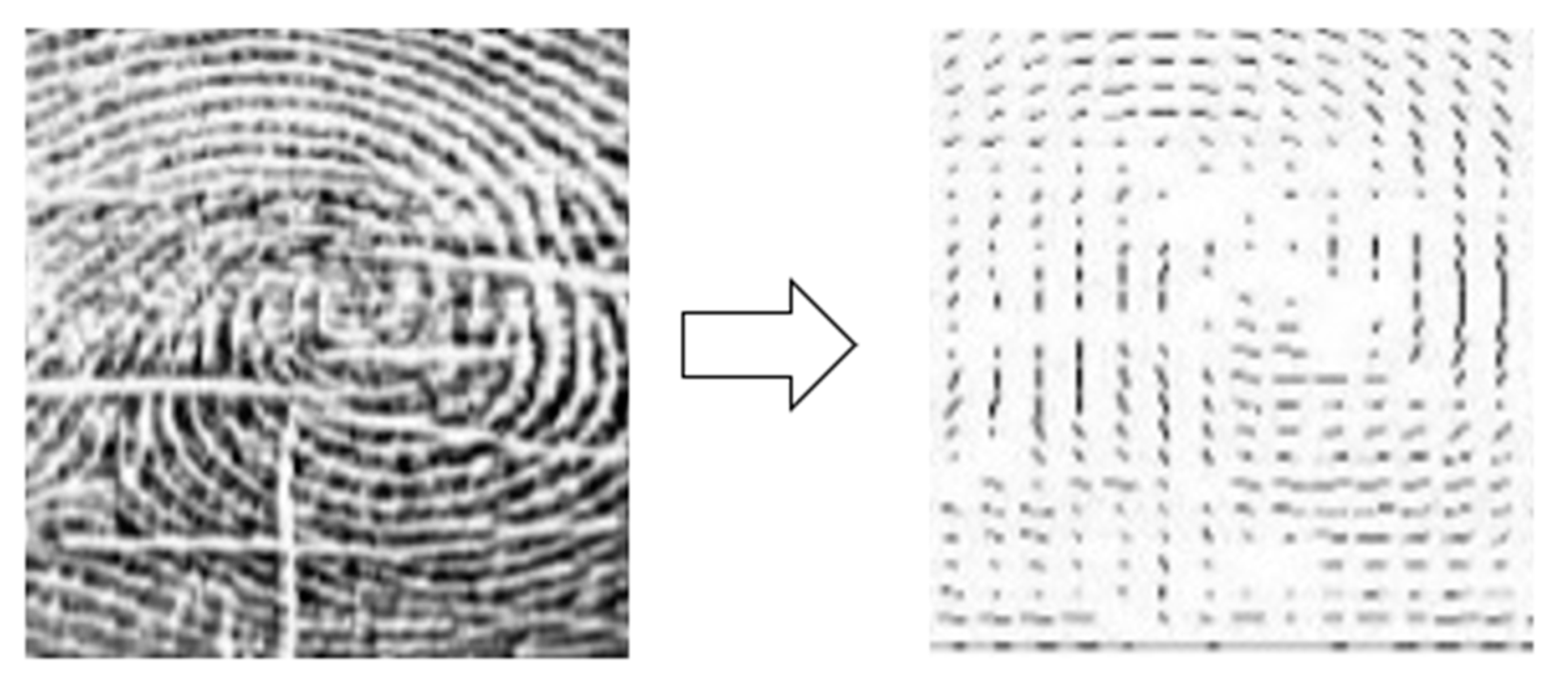 Applsci 12 11460 g007