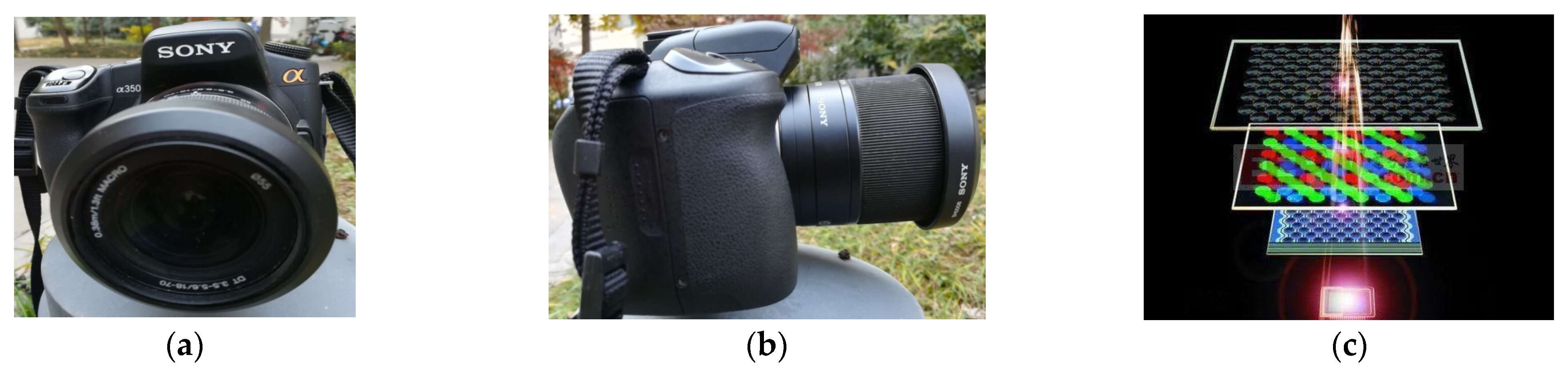 Applsci 12 11468 g001 Applsci 12 11468 g001