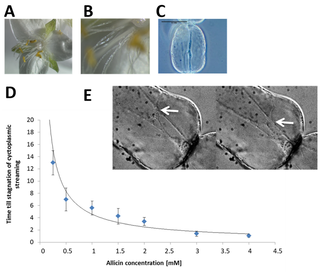 Applsci 12 11470 g001 Applsci 12 11470 g001
