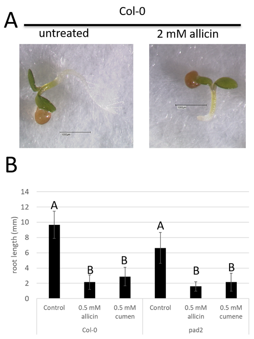 Applsci 12 11470 g003 Applsci 12 11470 g003