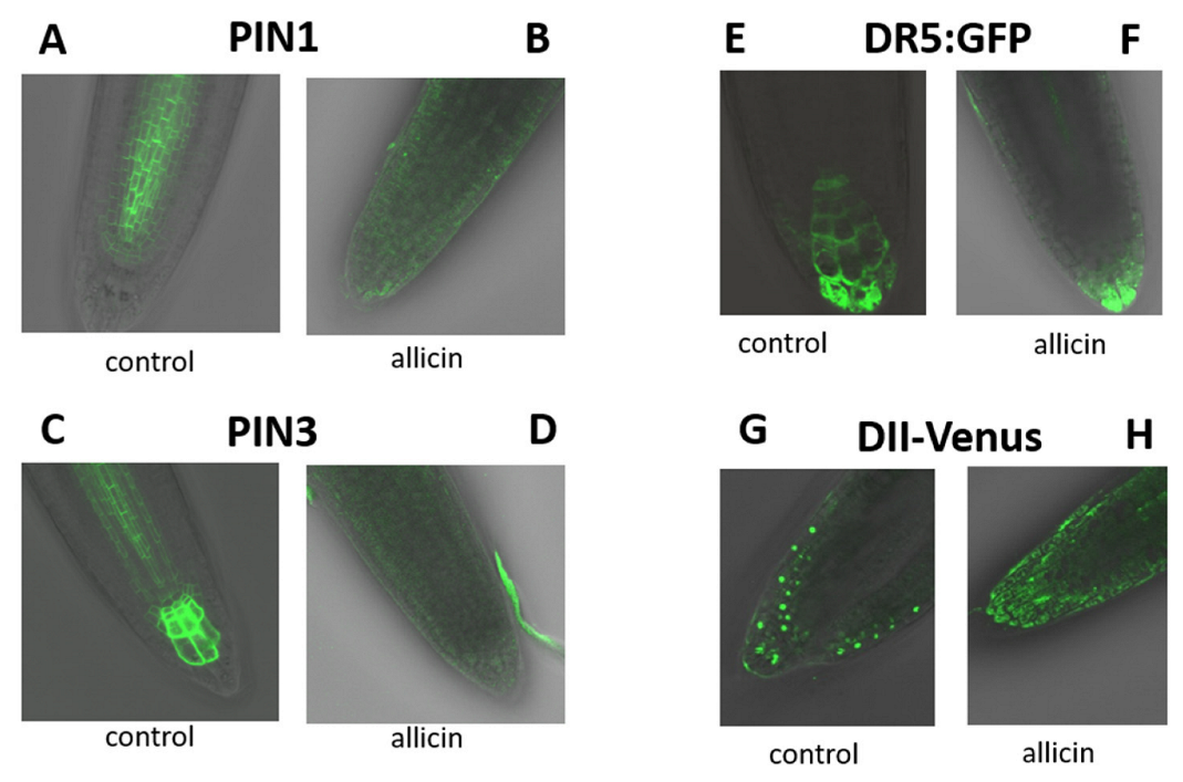Applsci 12 11470 g005 Applsci 12 11470 g005