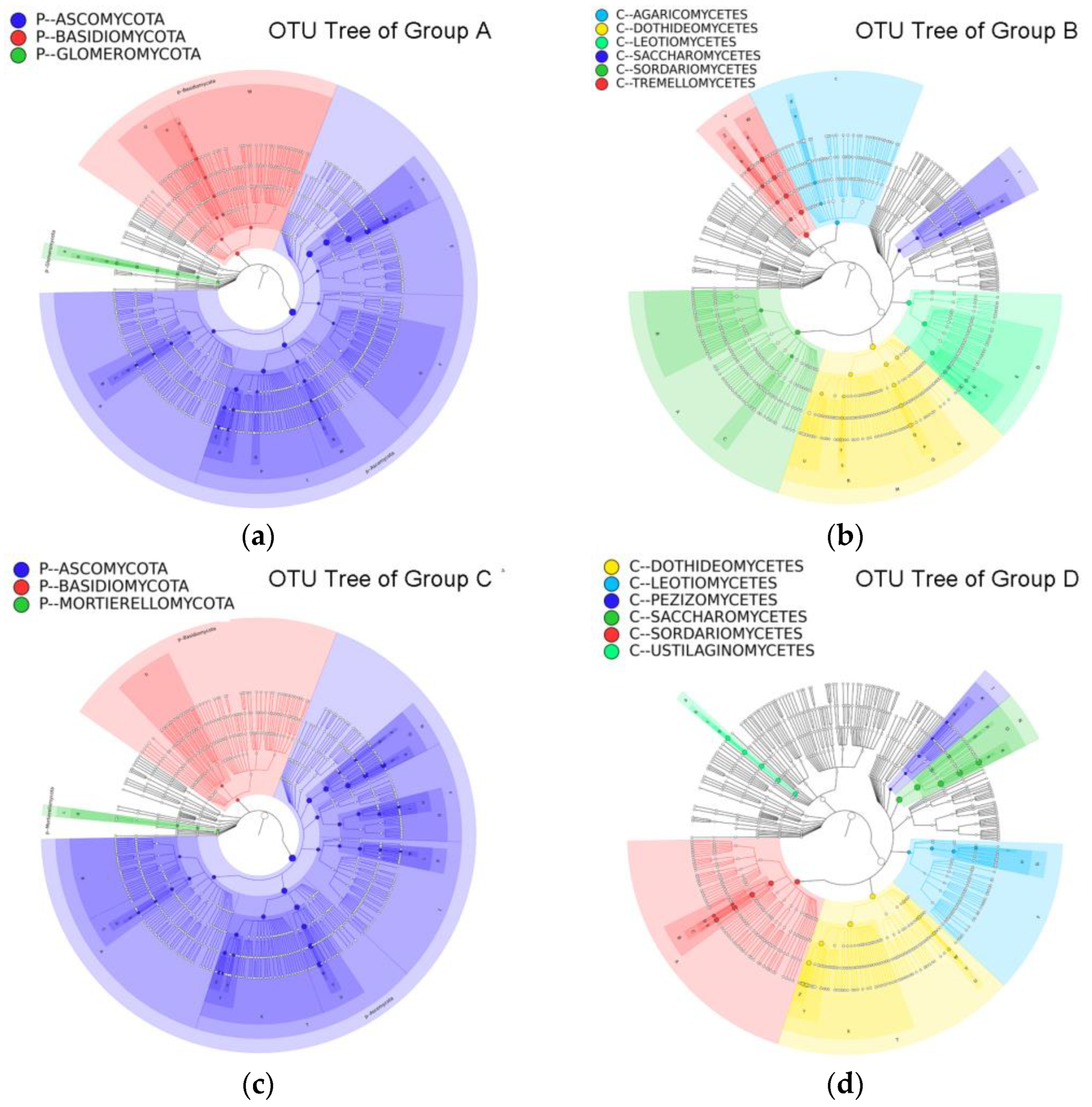 Applsci 12 11476 g003 Applsci 12 11476 g003