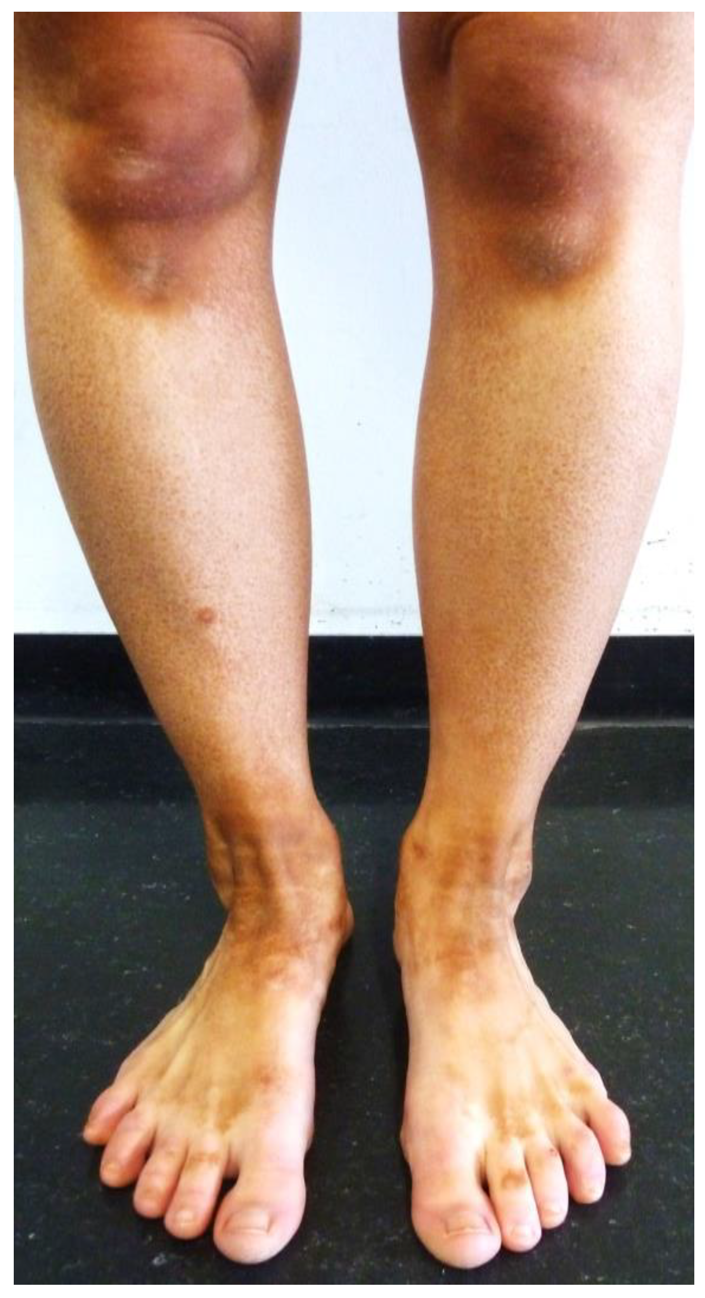 Applsci 12 11485 g001