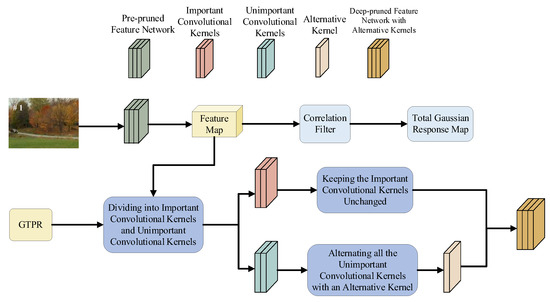 Computer Vision and Image Processing