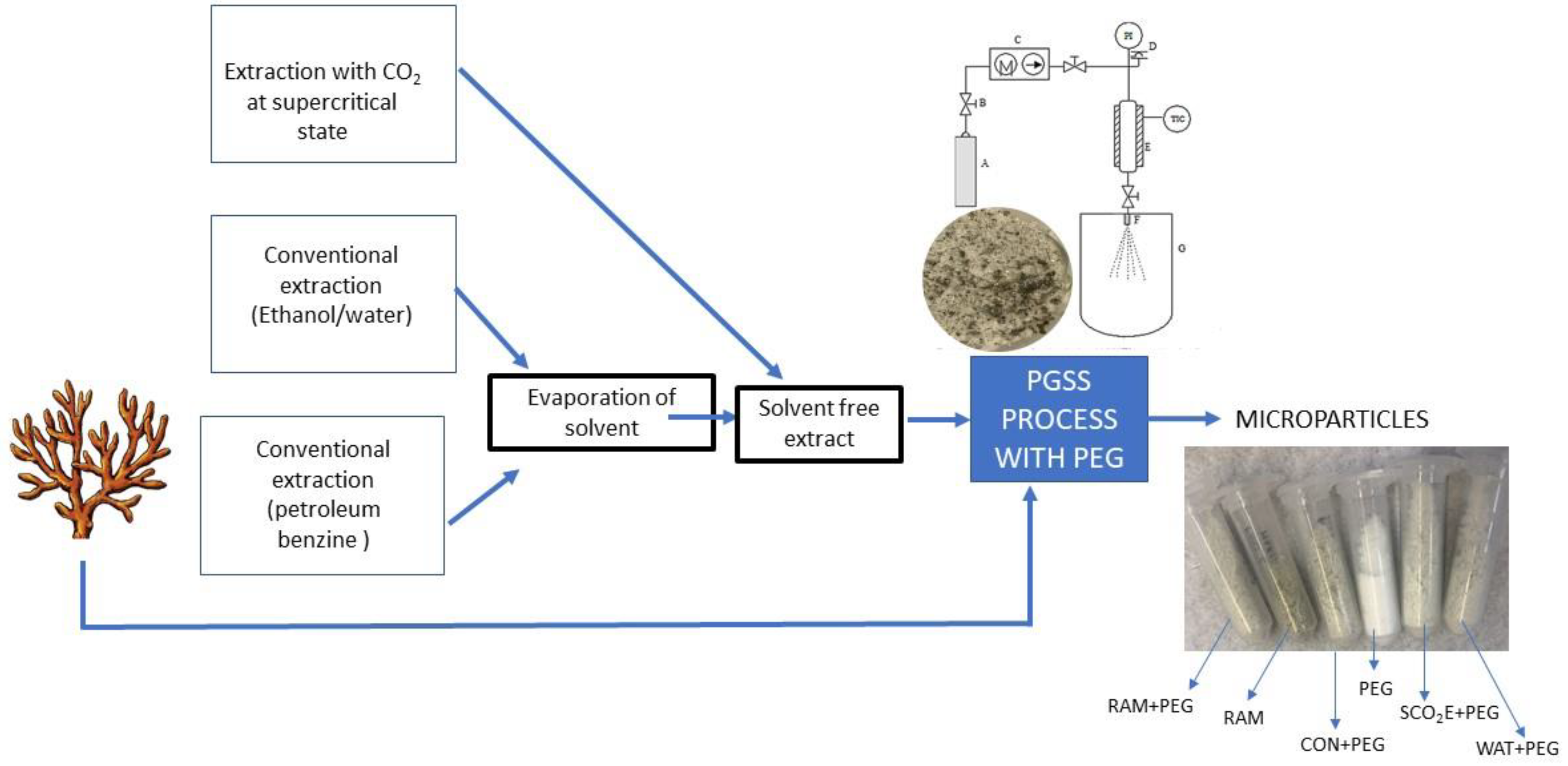 Applsci 12 11496 g001 Applsci 12 11496 g001