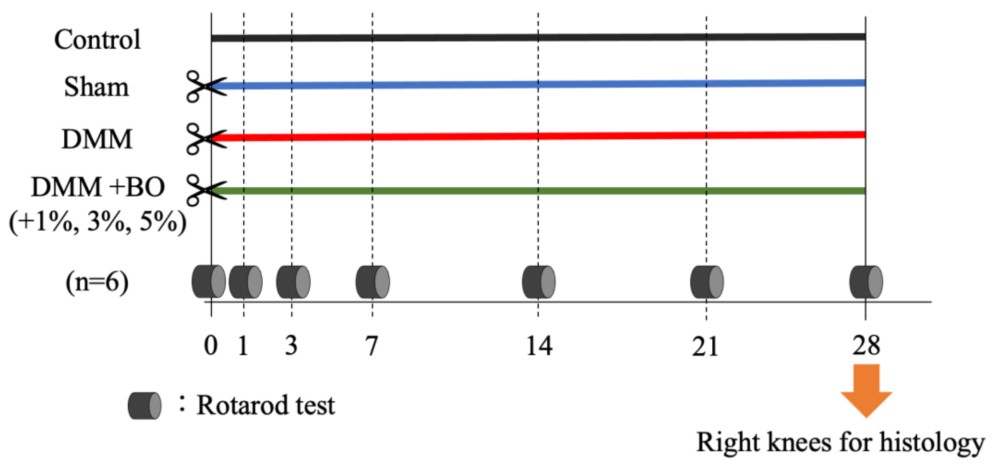 Applsci 12 11518 g001