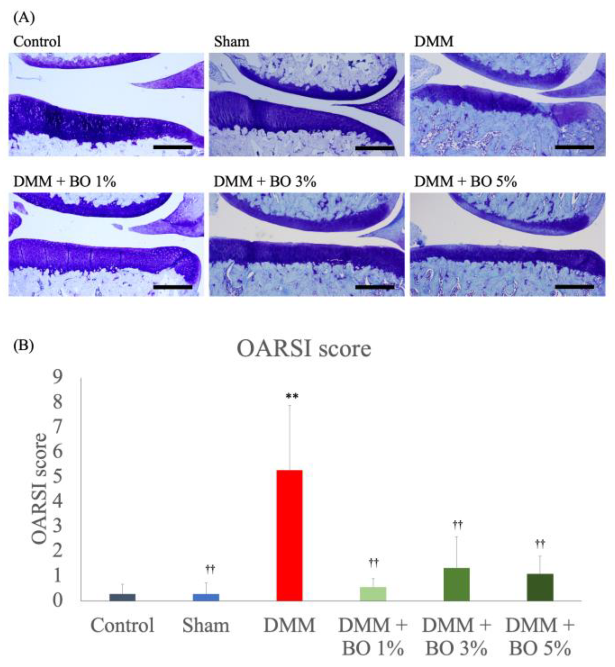 Applsci 12 11518 g003