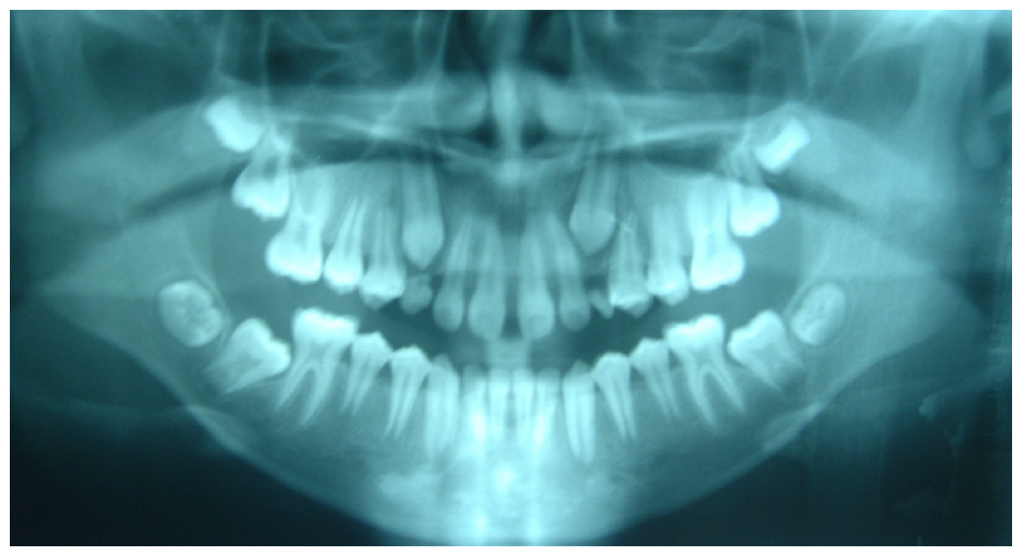 Applsci 12 11520 g003 Applsci 12 11520 g003