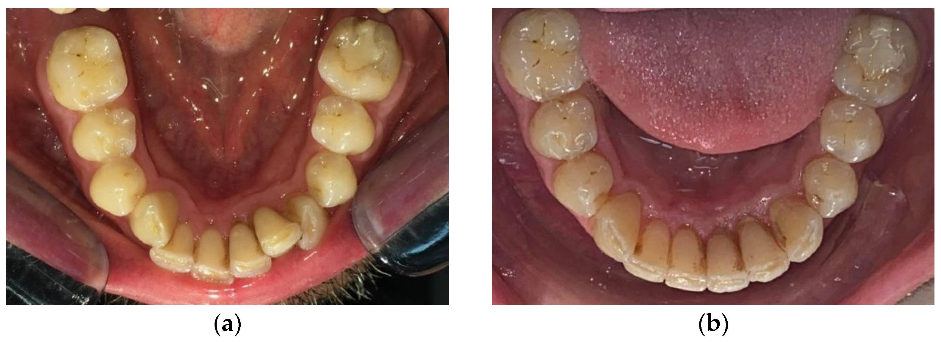 Applsci 12 11532 g002