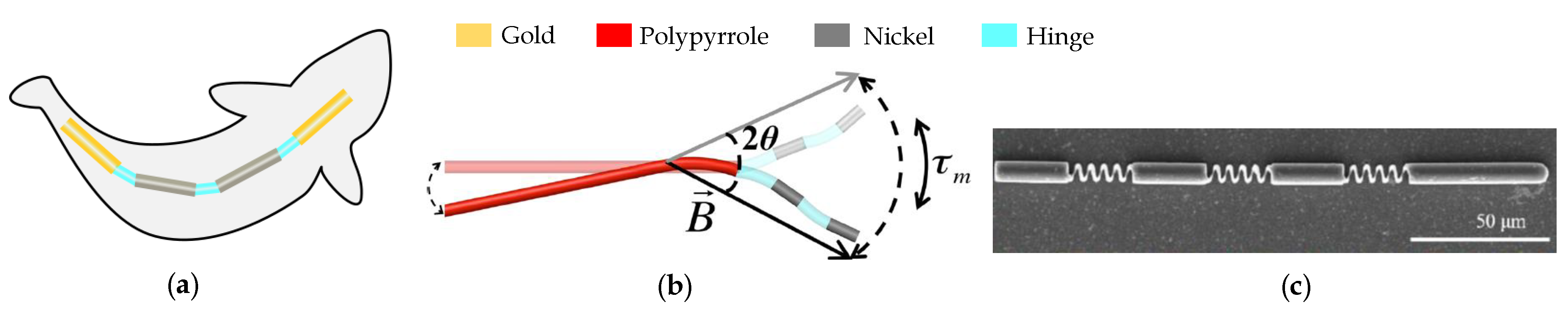 Applsci 12 11542 g008 Applsci 12 11542 g008