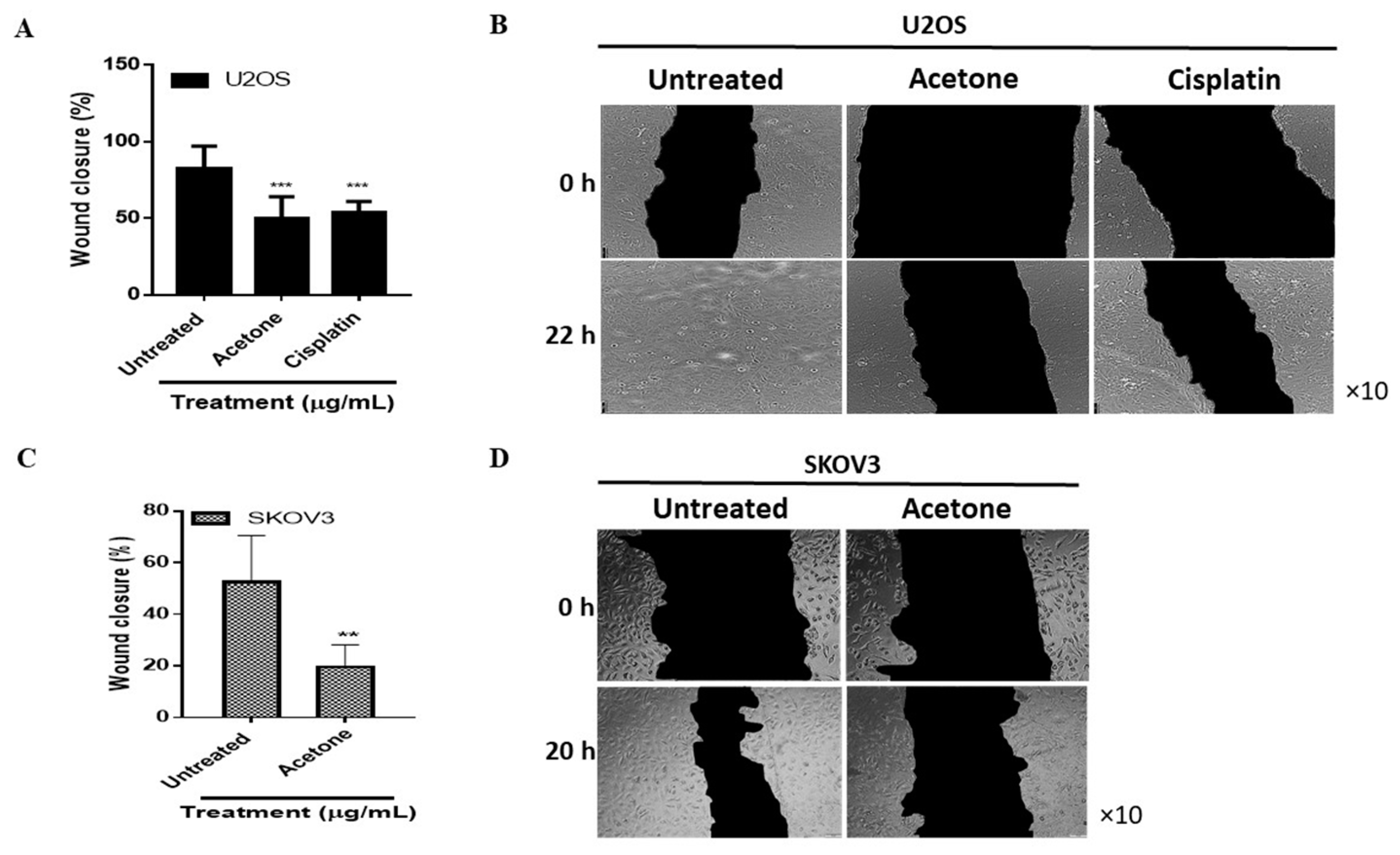 Applsci 12 11545 g006