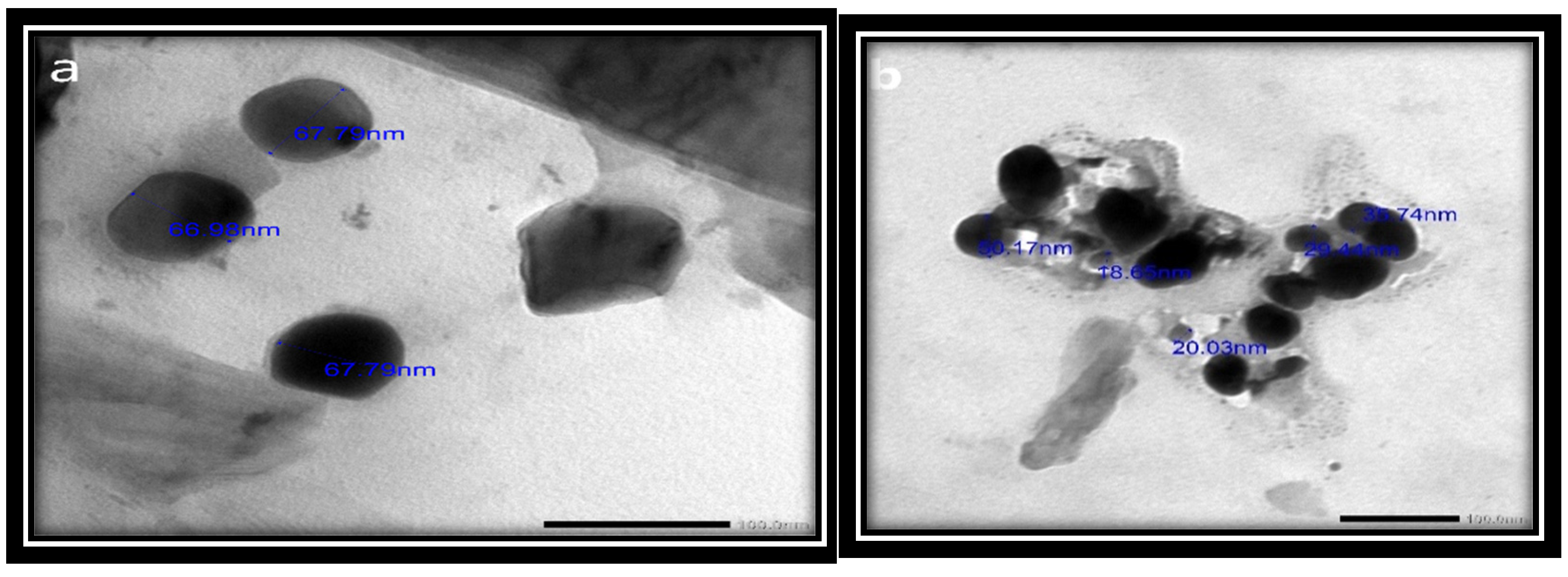 Applsci 12 11546 g005