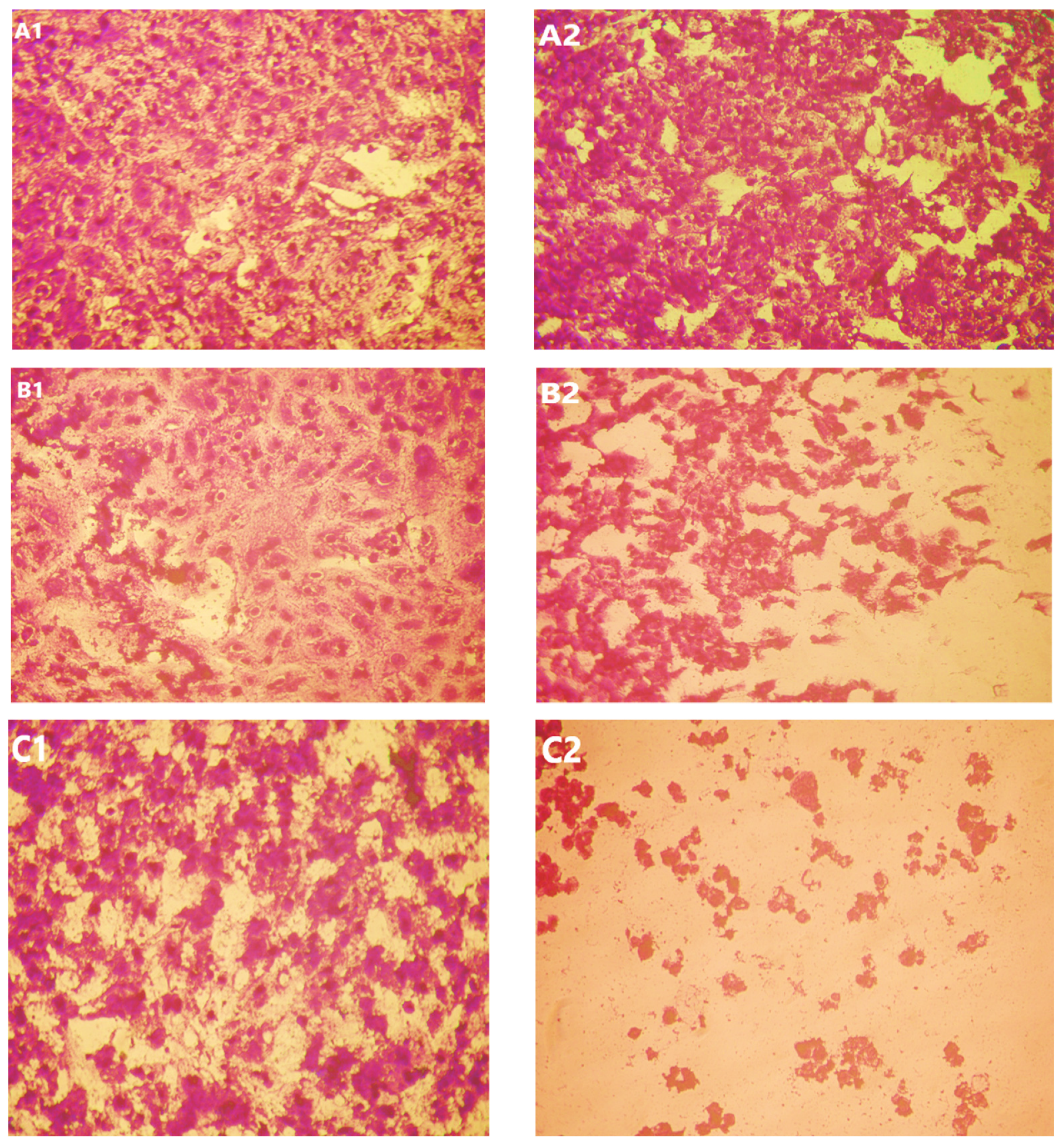 Applsci 12 11546 g011b