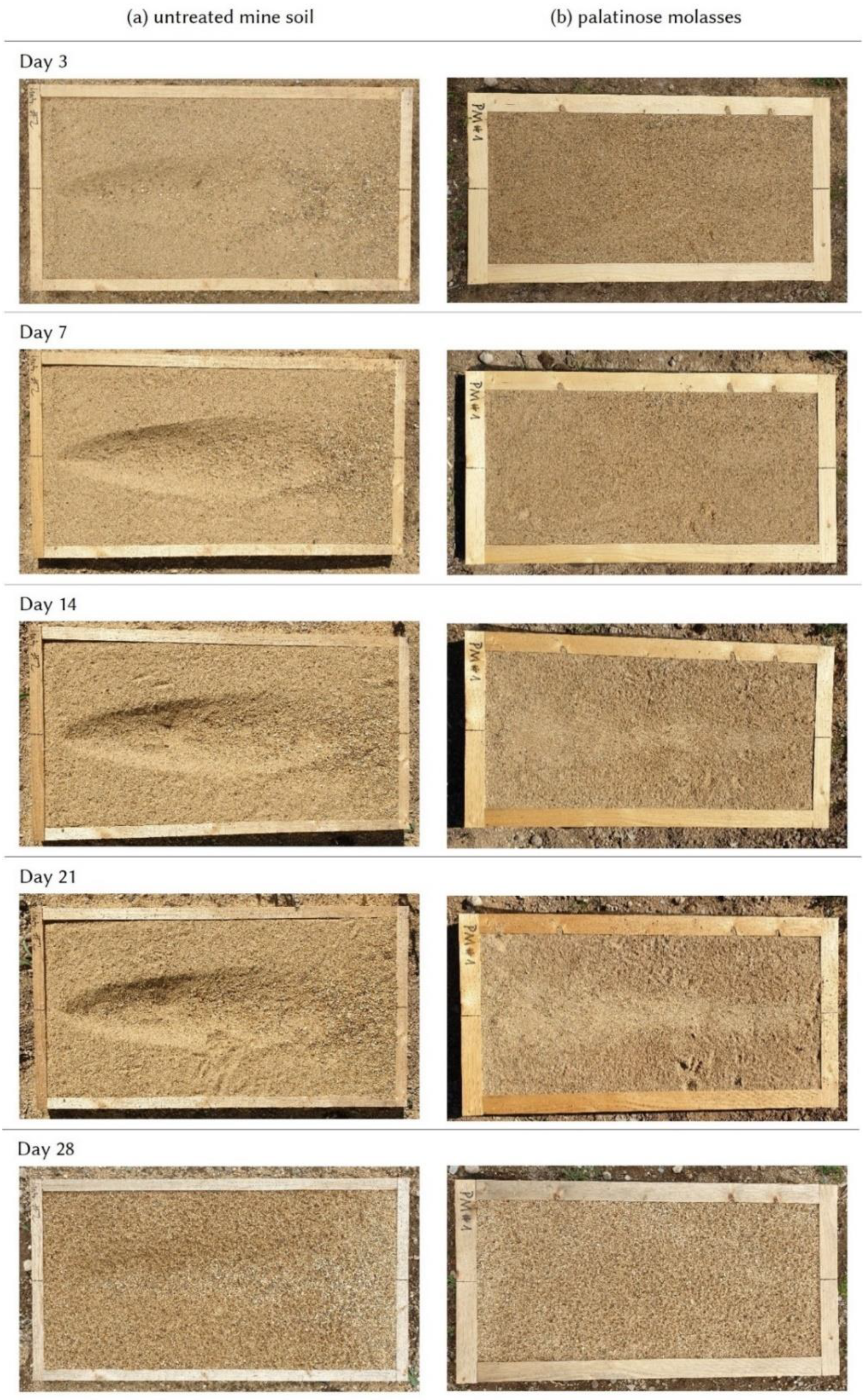 Applsci 12 11551 g007 Applsci 12 11551 g007