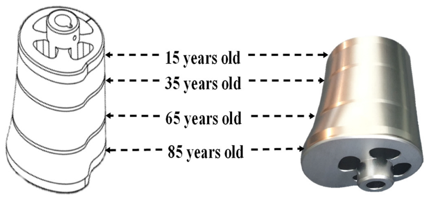 Applsci 12 11555 g002