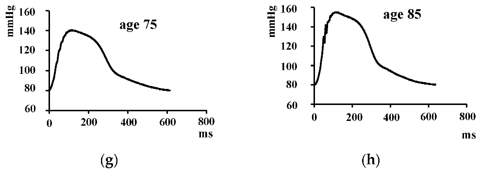 Applsci 12 11555 g004b