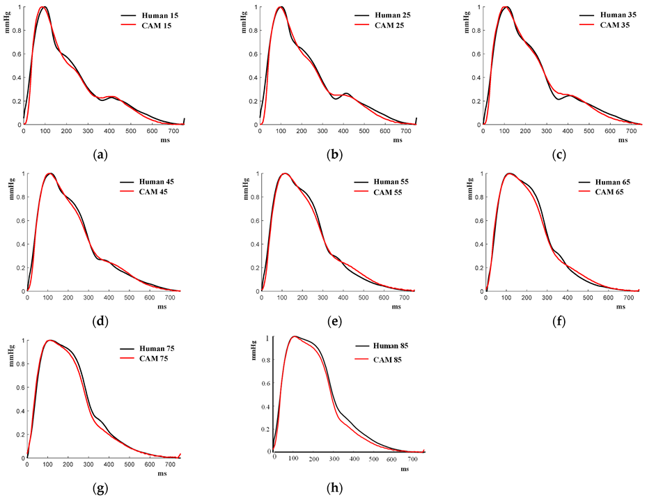 Applsci 12 11555 g006